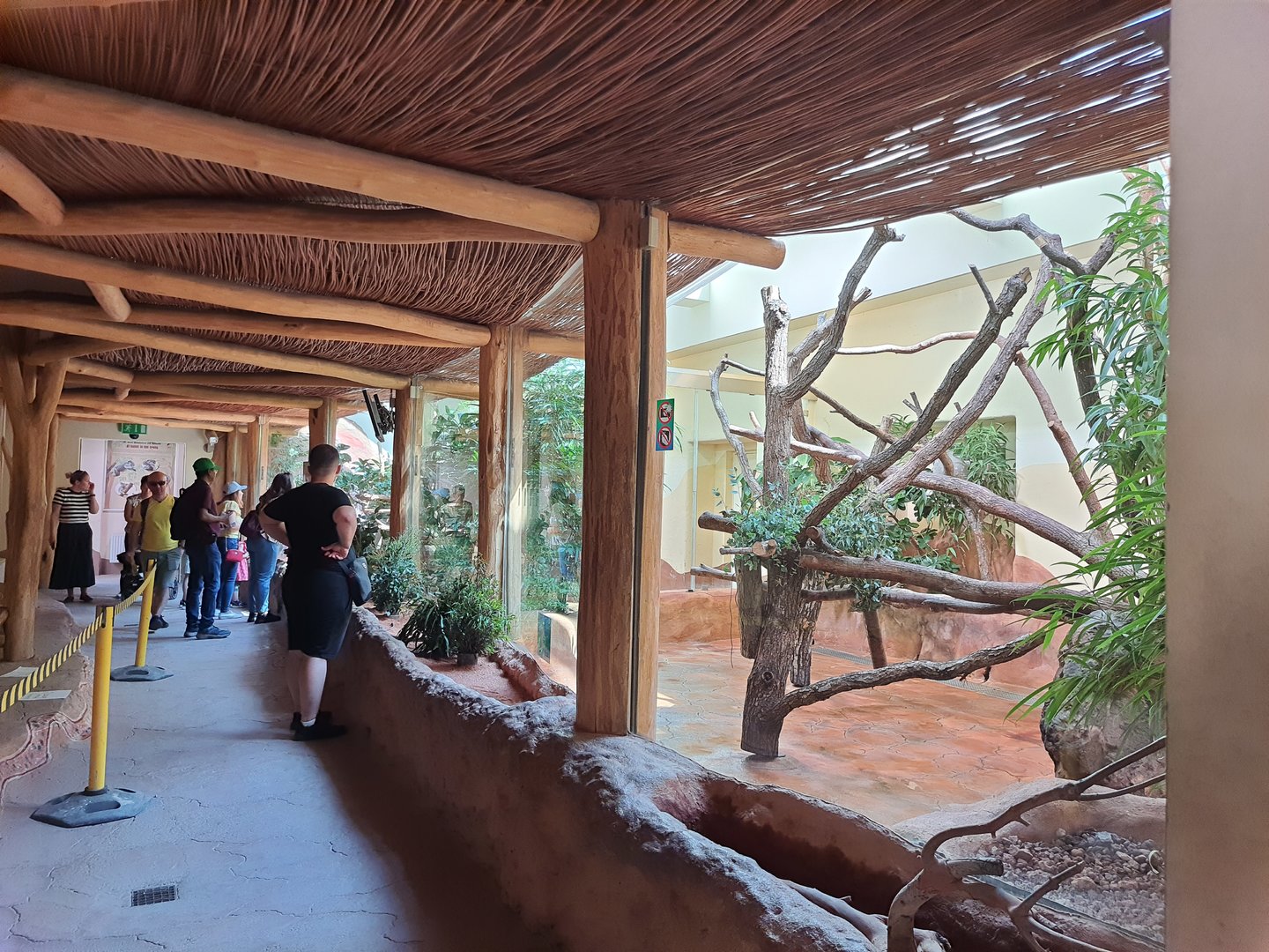 Koala exhibit complex- Tiergarten Schönbrunn