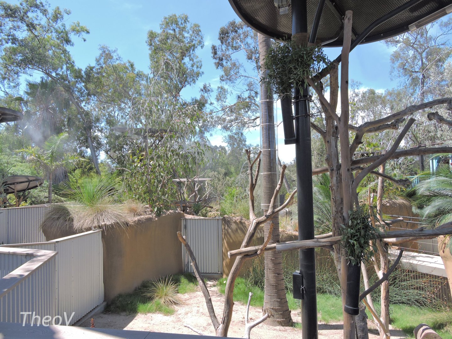 Koala exhibit - Outback [2015]