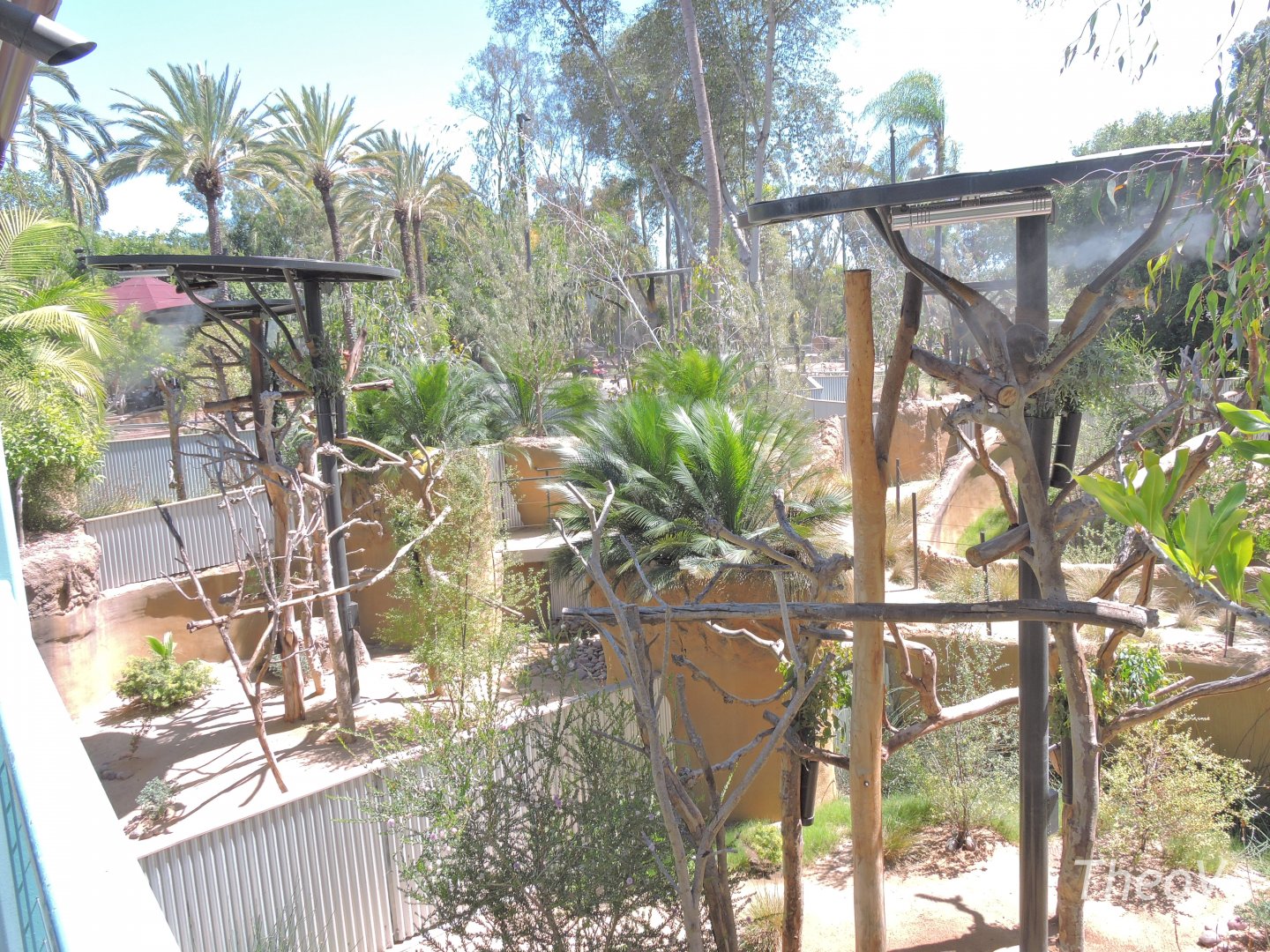 Koala exhibit - Outback [2015]