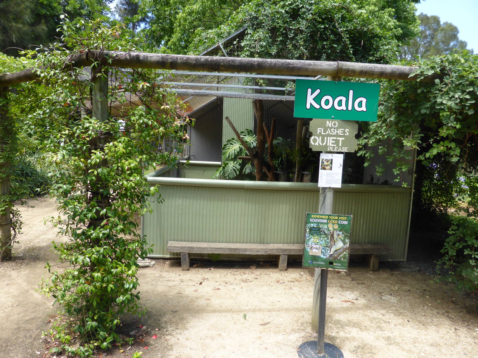 Koala exhibit