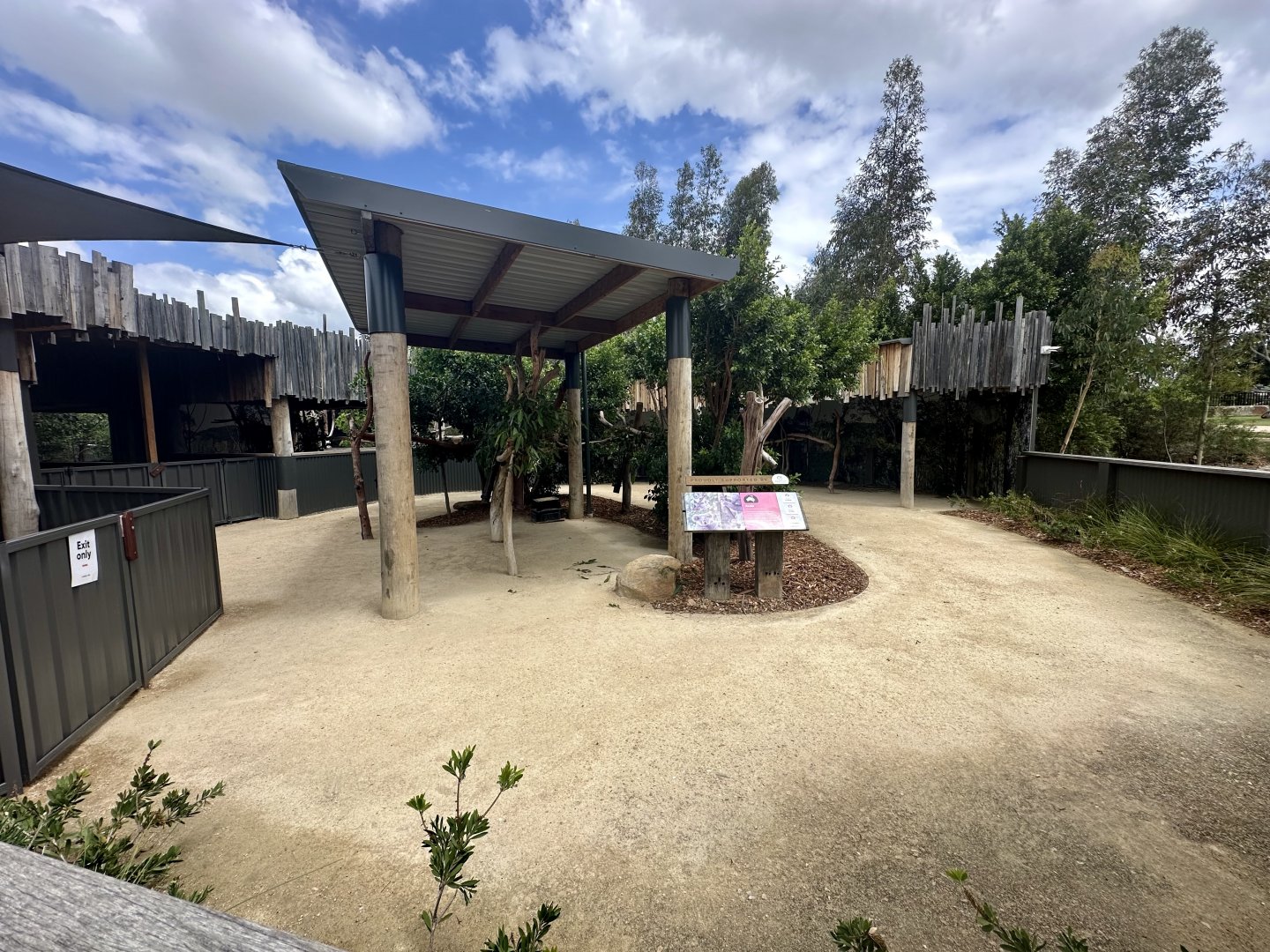 Koala Exhibit
