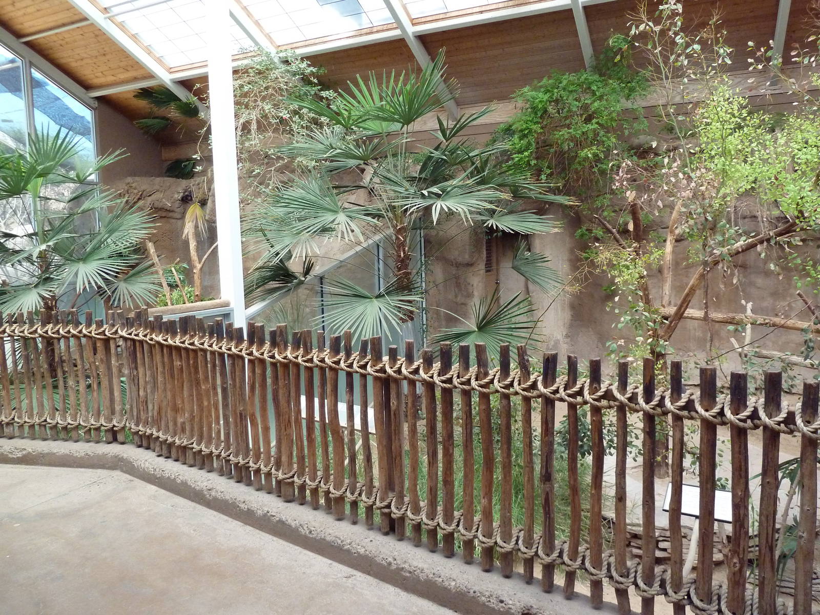 Koala Exhibits