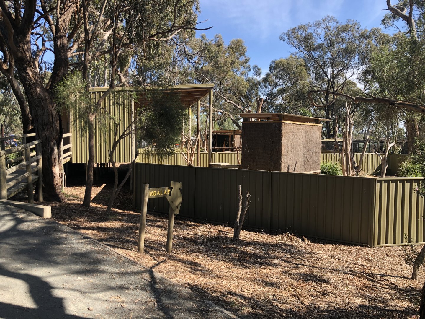 Koala Exhibits
