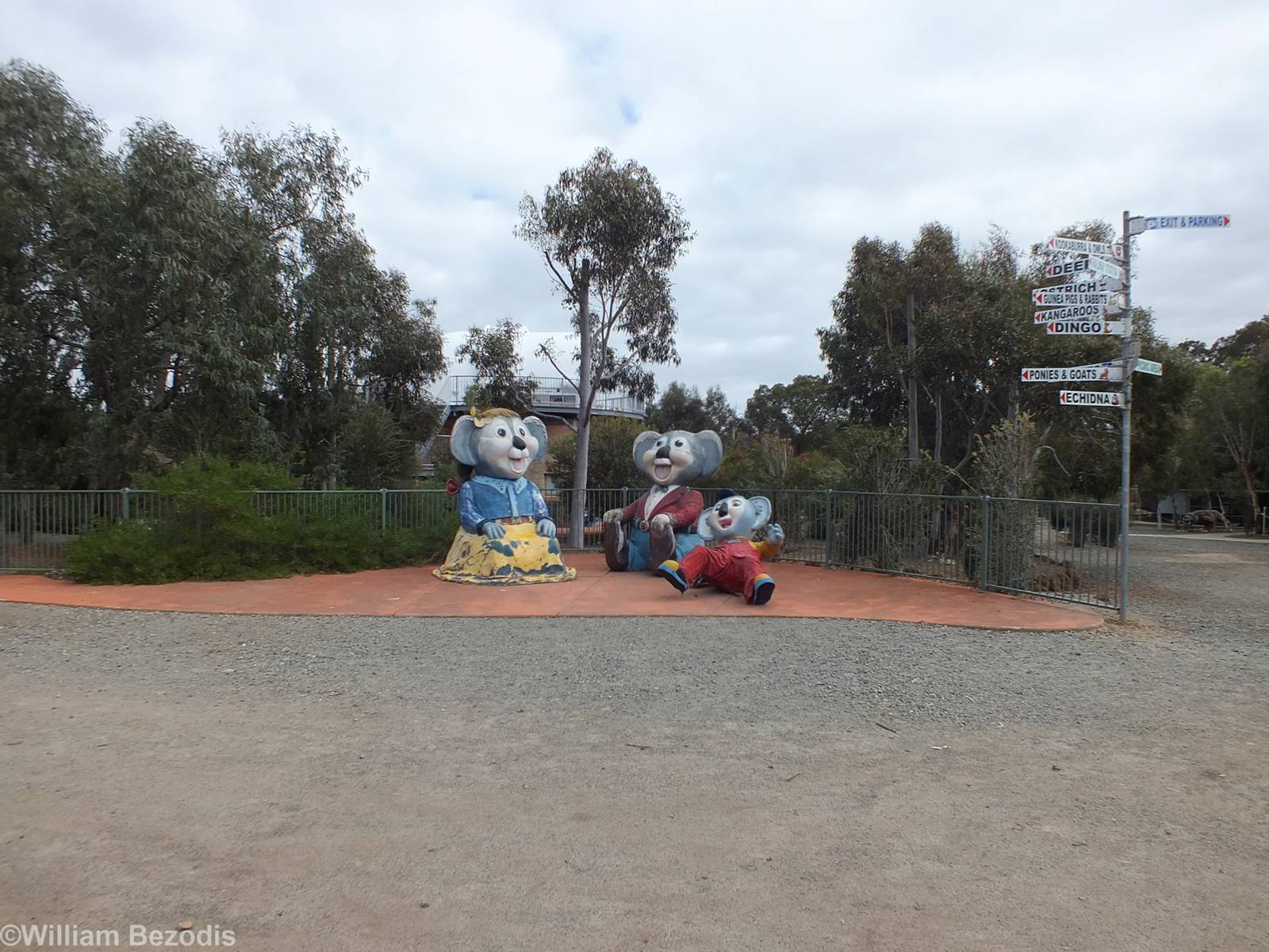Koala Family - Cohunu Koala Park