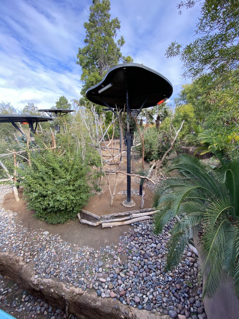 Koala Habitat - Outback