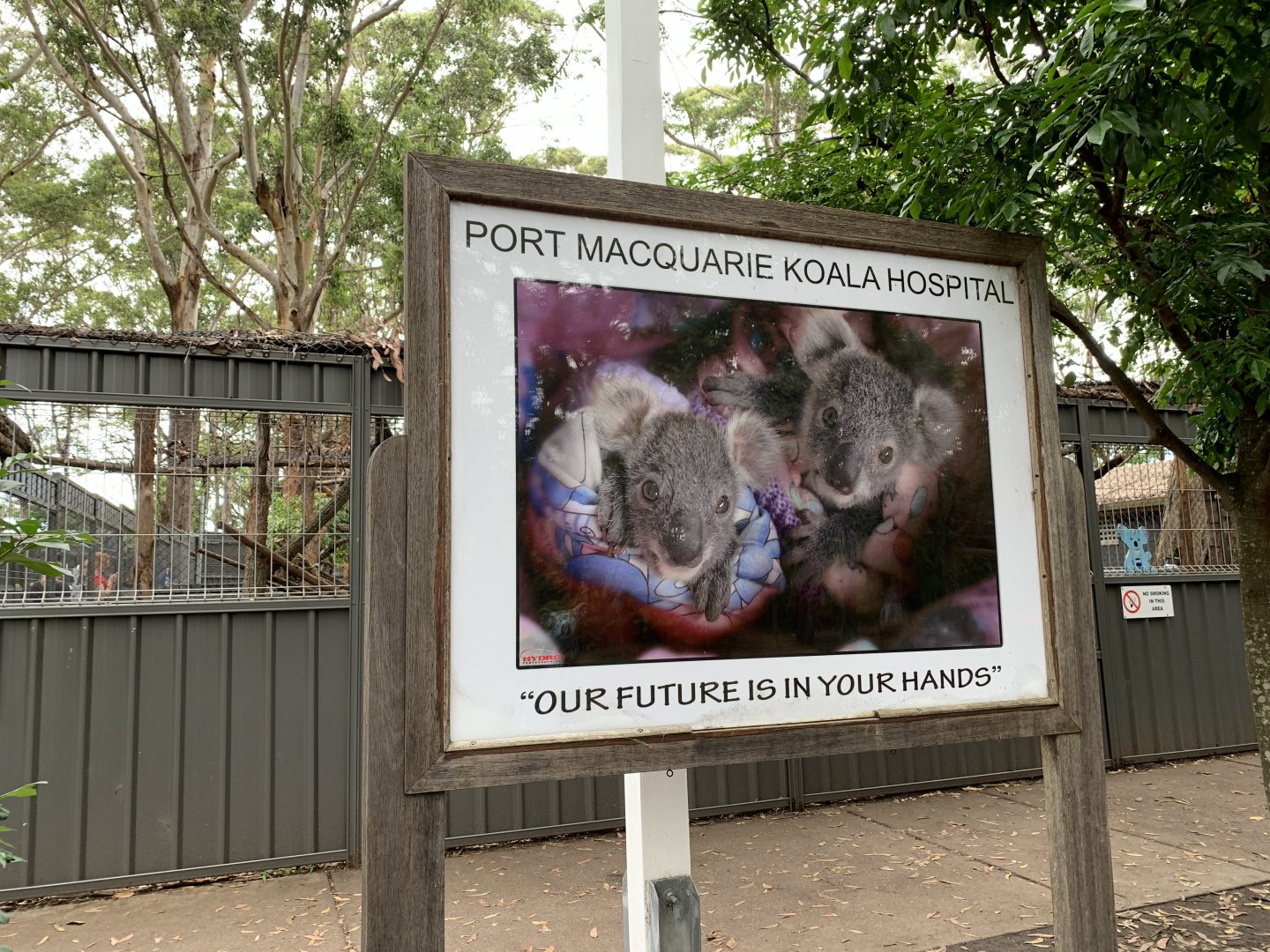 Koala Hospital Sign