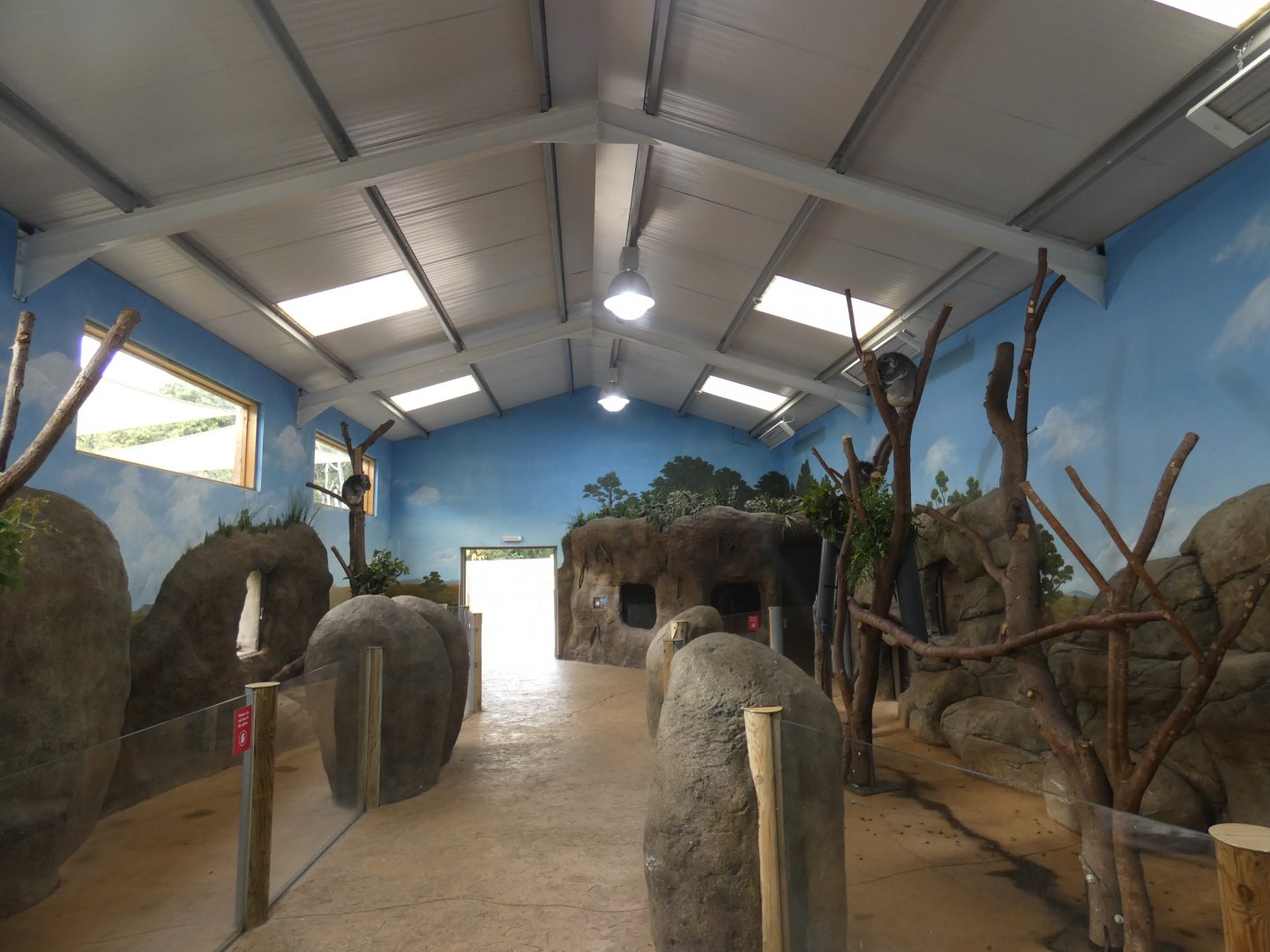 Koala house (1)