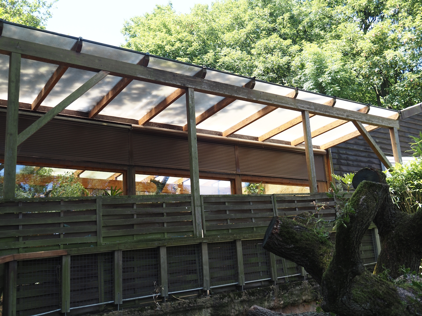 Koala house - Covered viewing area for Koala, Echidna and Woylie exhibit, 2024-06-08