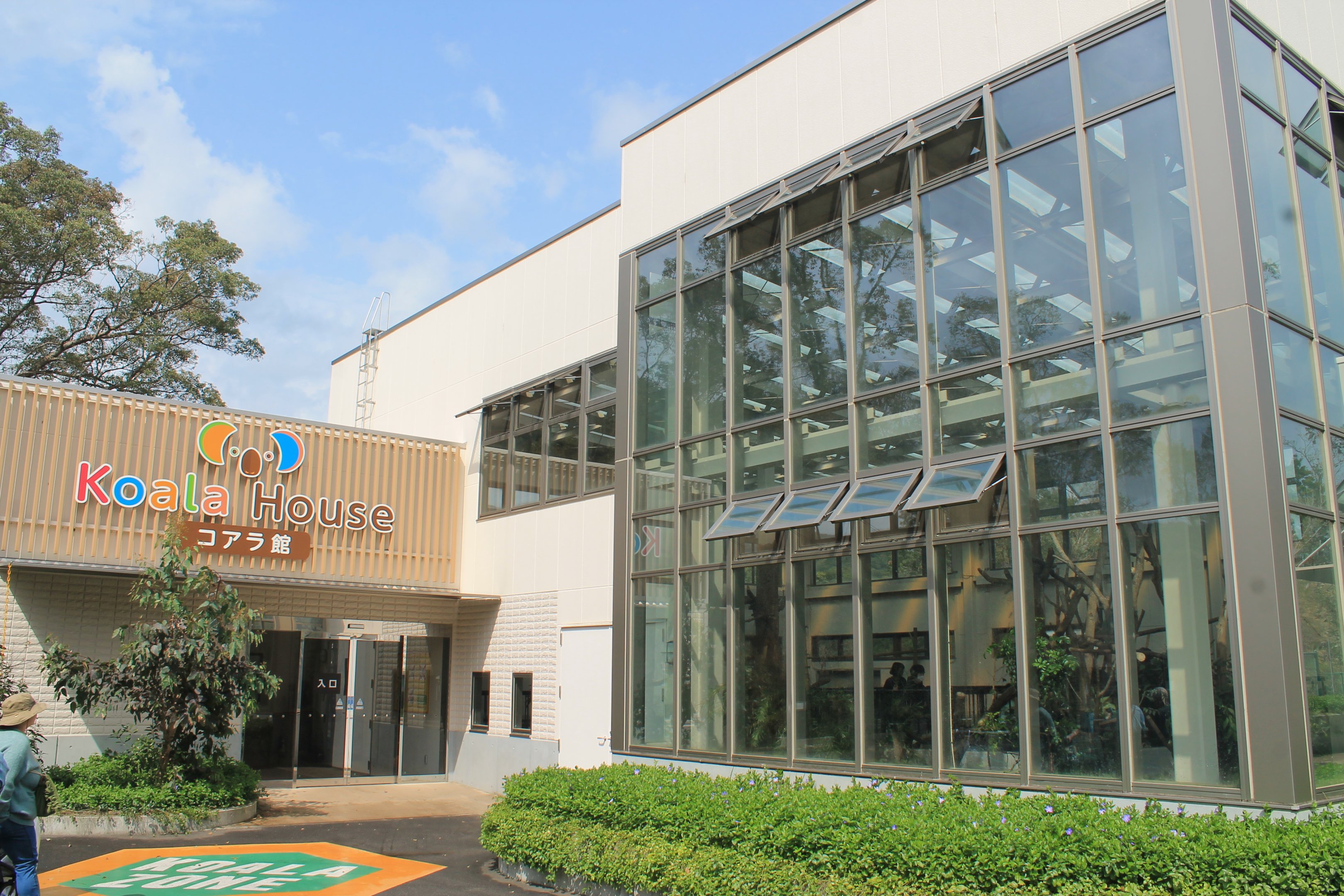 Koala House - Hirakawa Zoo (Kagoshima)