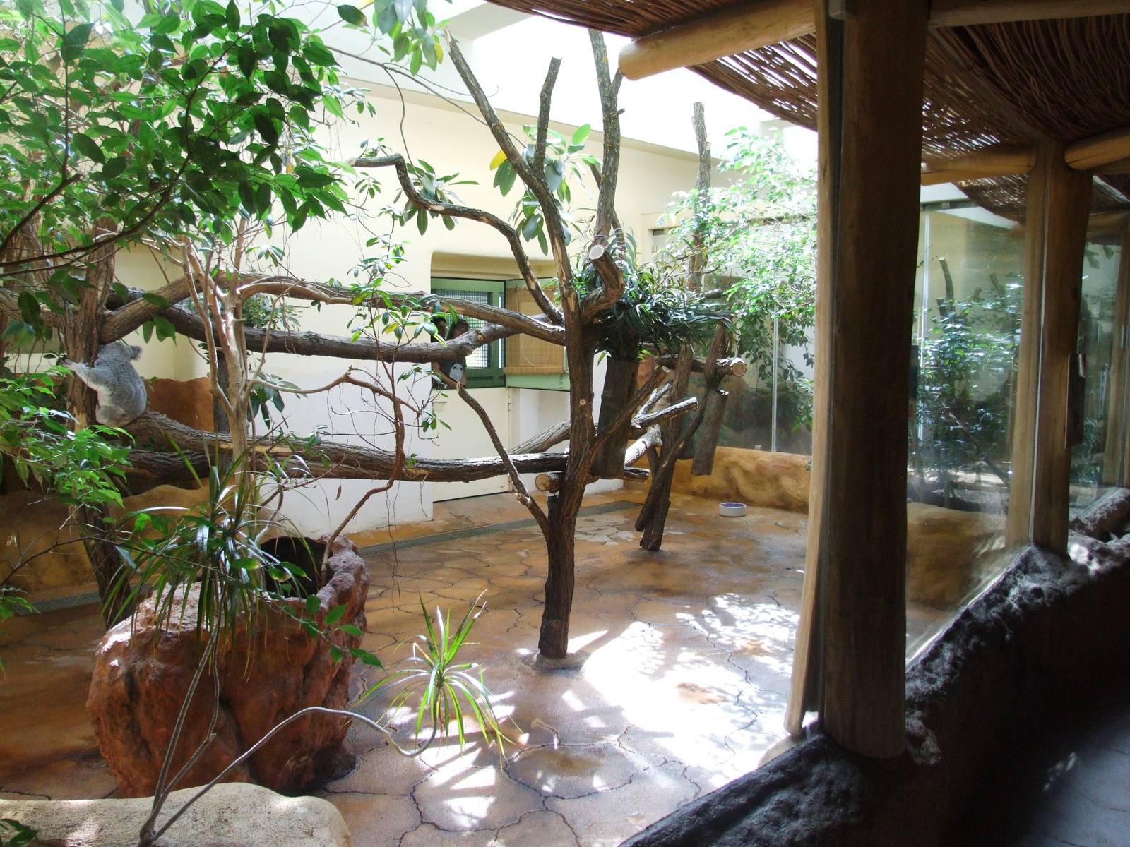 Koala House Interior at Vienna, 14/06/13