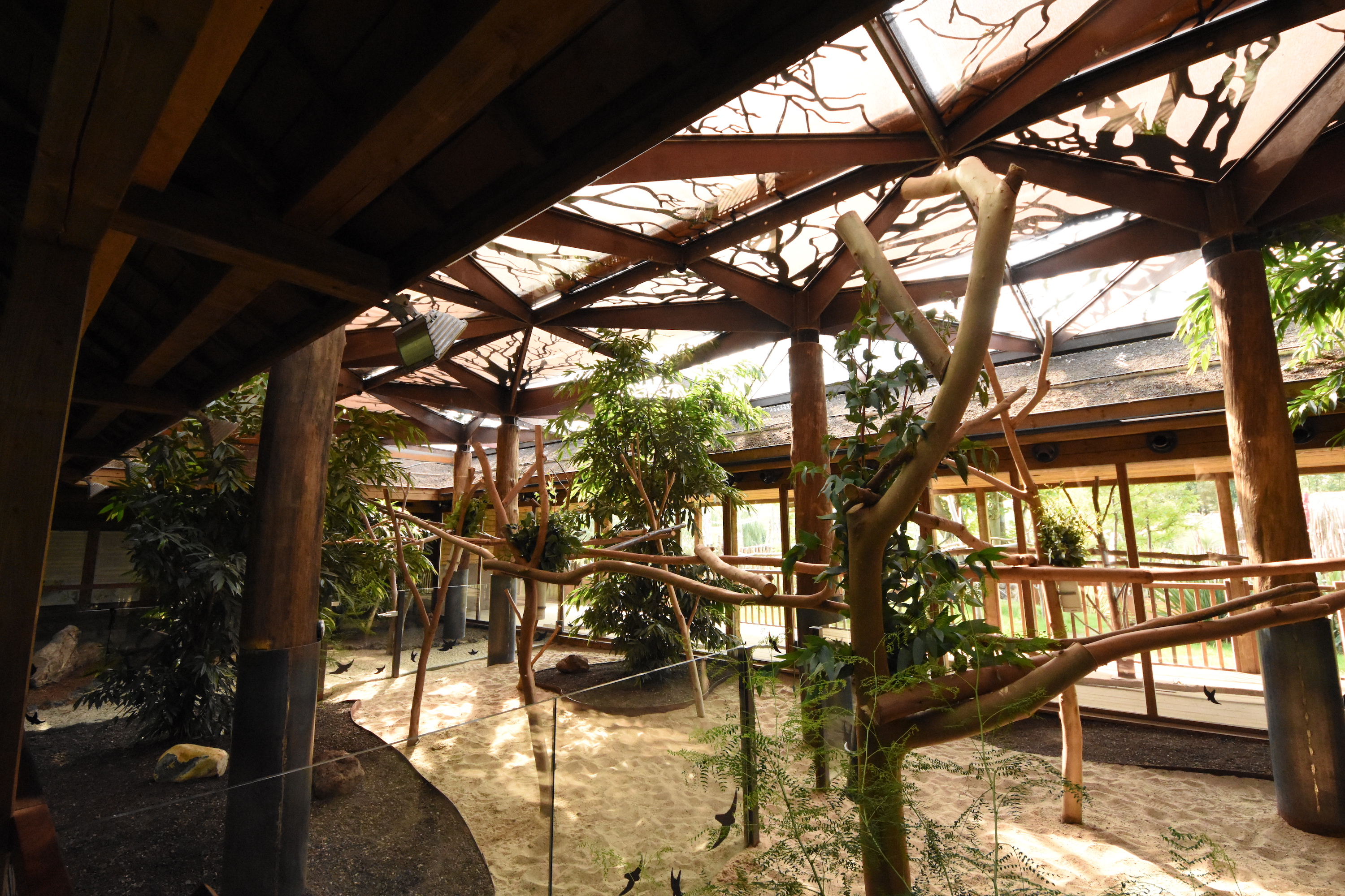 Koala house interior