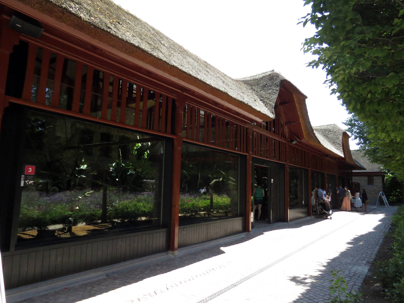 Koala house, June 2015