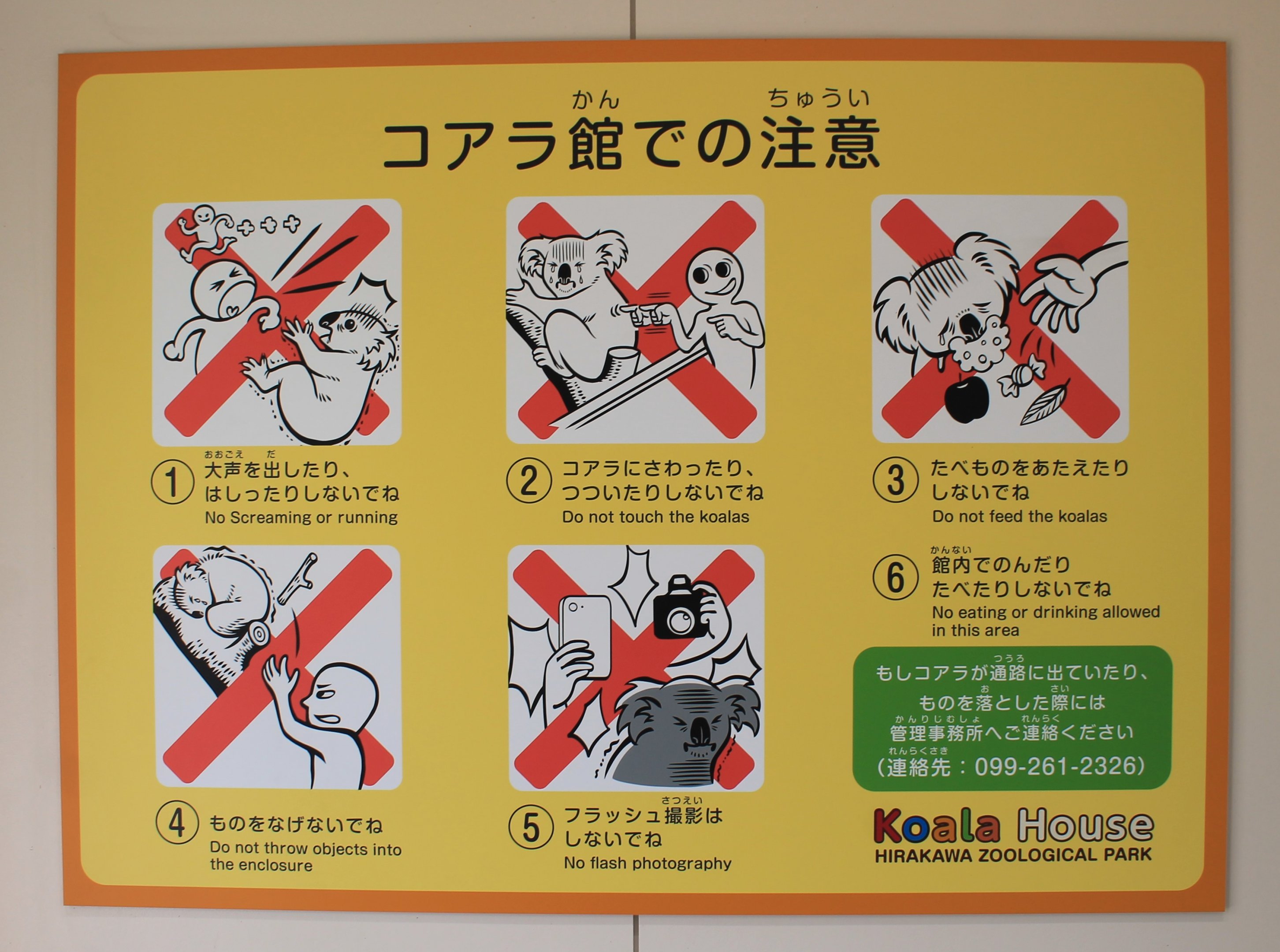 Koala House rules - Hirakawa Zoo (Kagoshima)