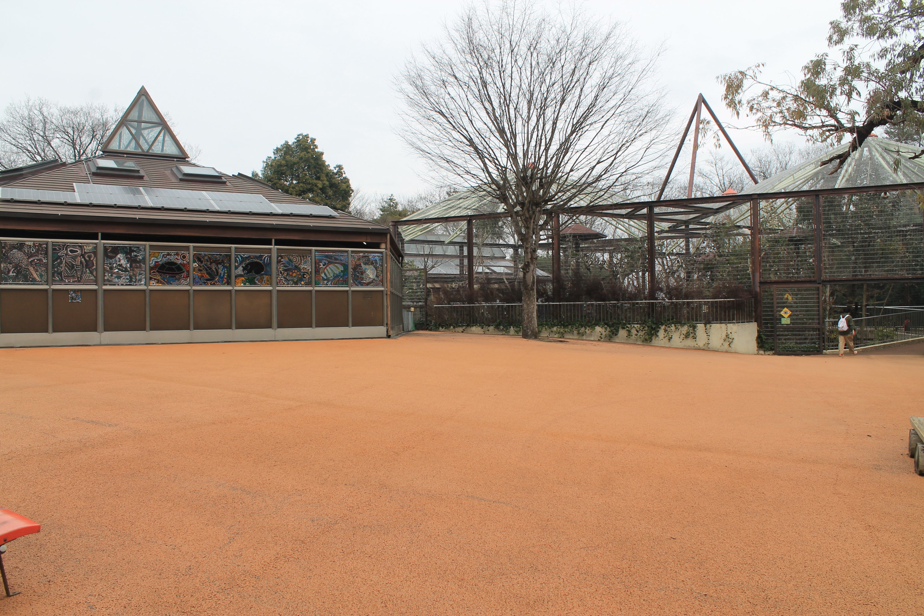 Koala House - Saitama Childrens Zoo