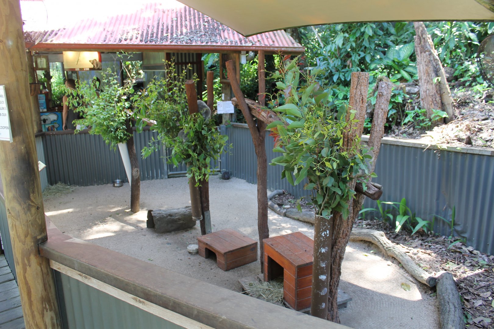 Koala & Long-nosed Potoroo enclosure