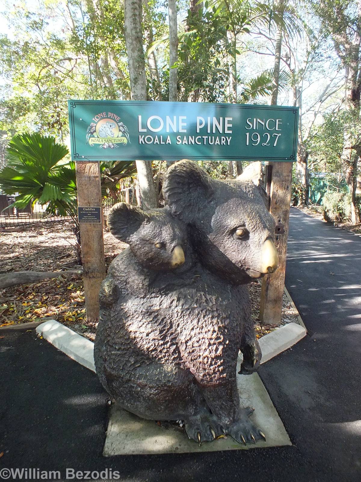 Koala Model at Entrance