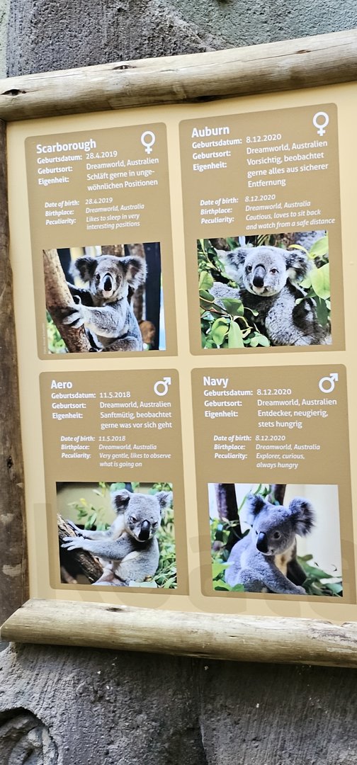 Koala names signage