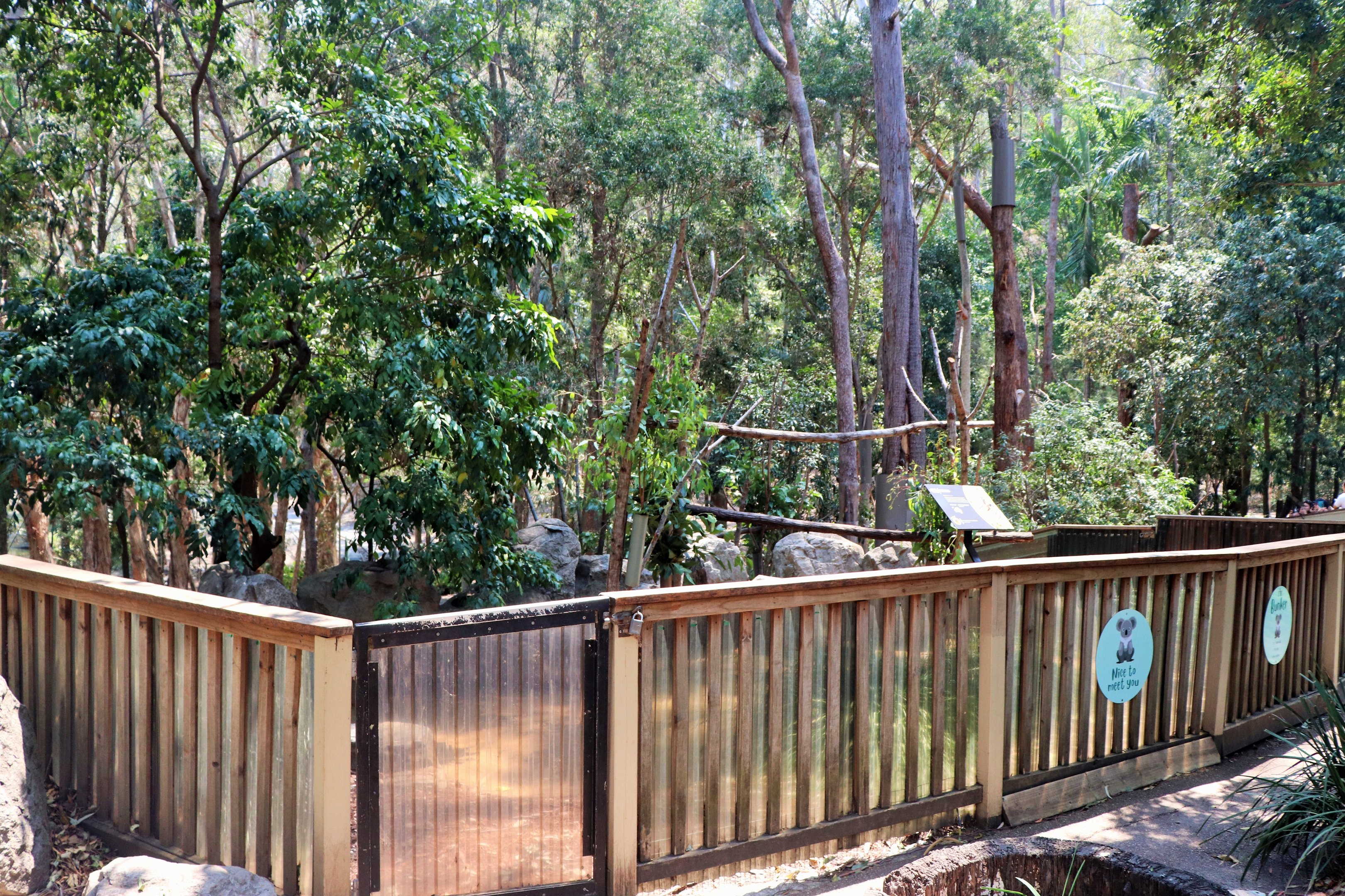 Koala Nursery Enclosure