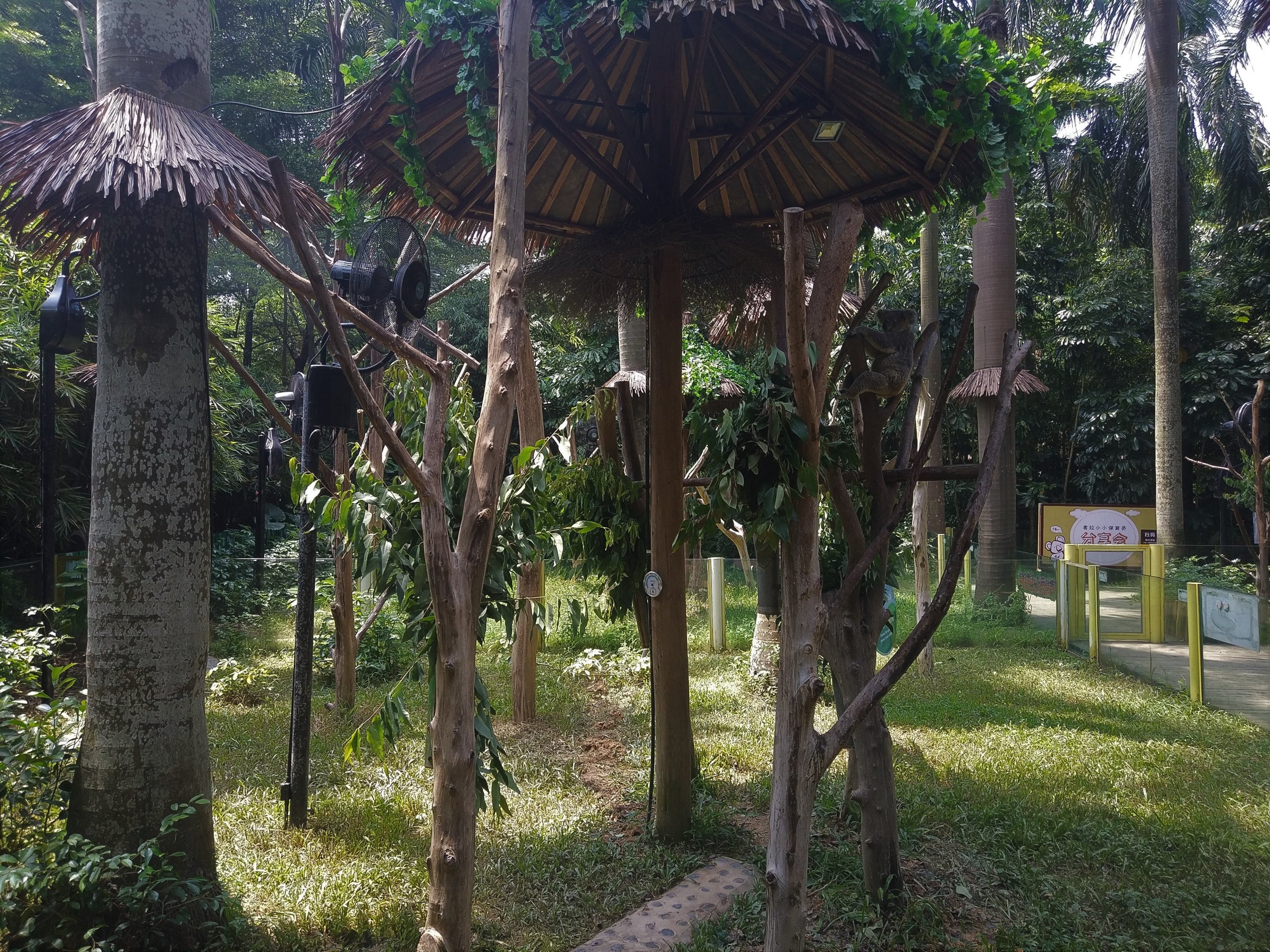 Koala Outdoor Exhibits