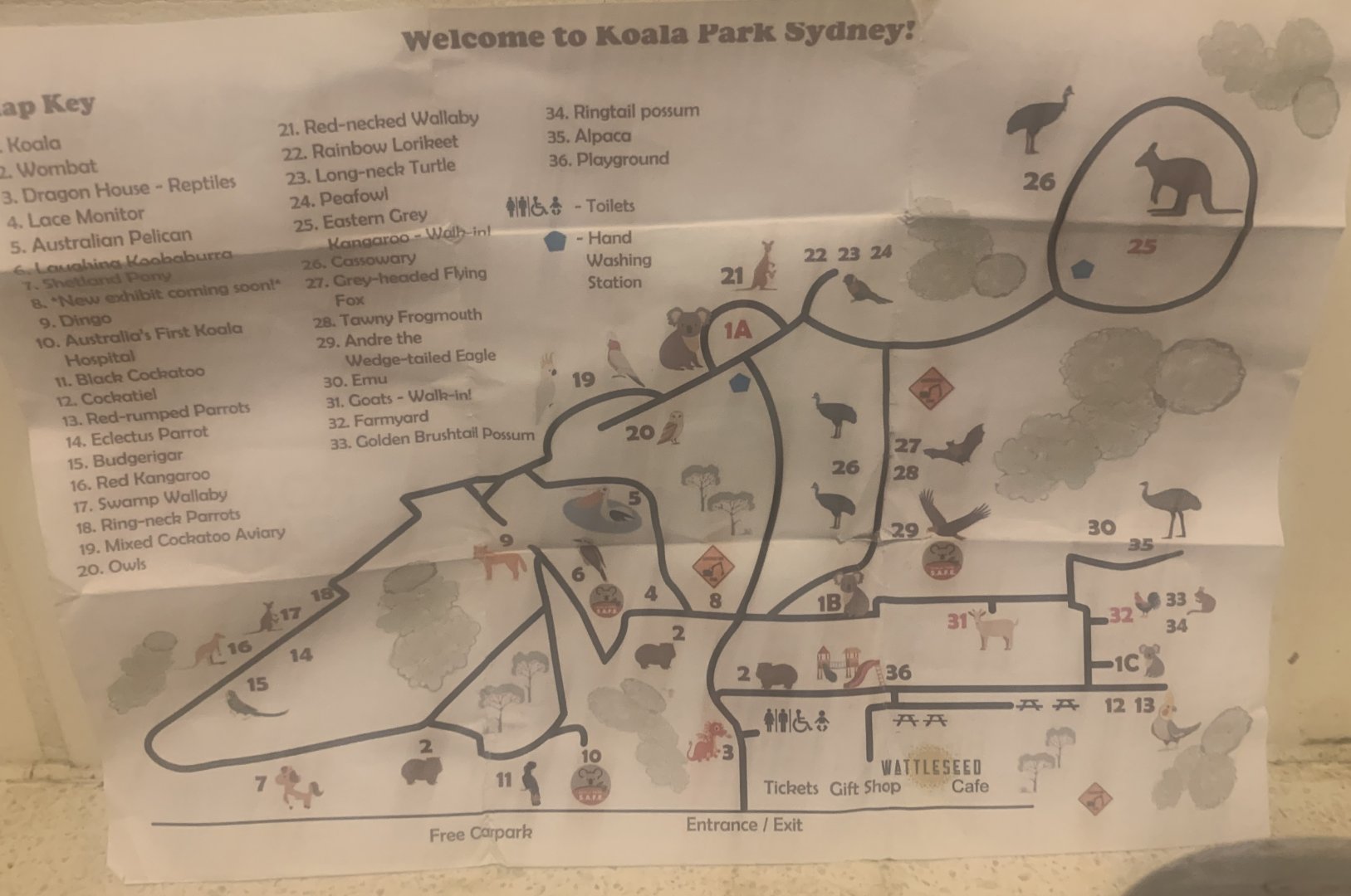 Koala Park brochure map December 2024
