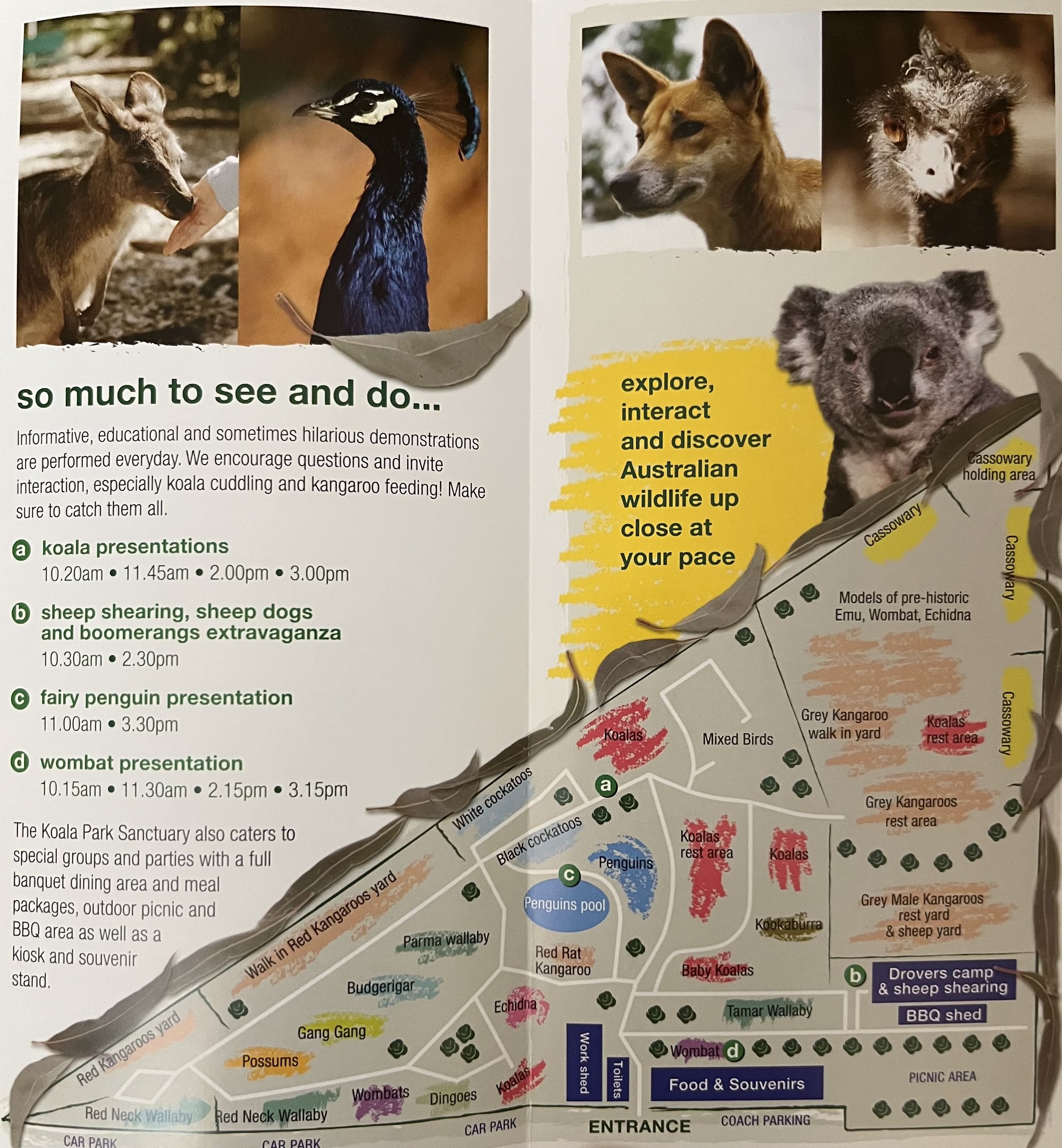 Koala Park Sanctuary Map - undated