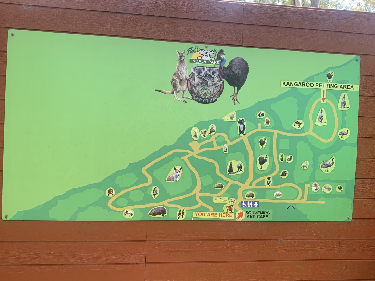 Koala Park Sanctuary Map upon Entry