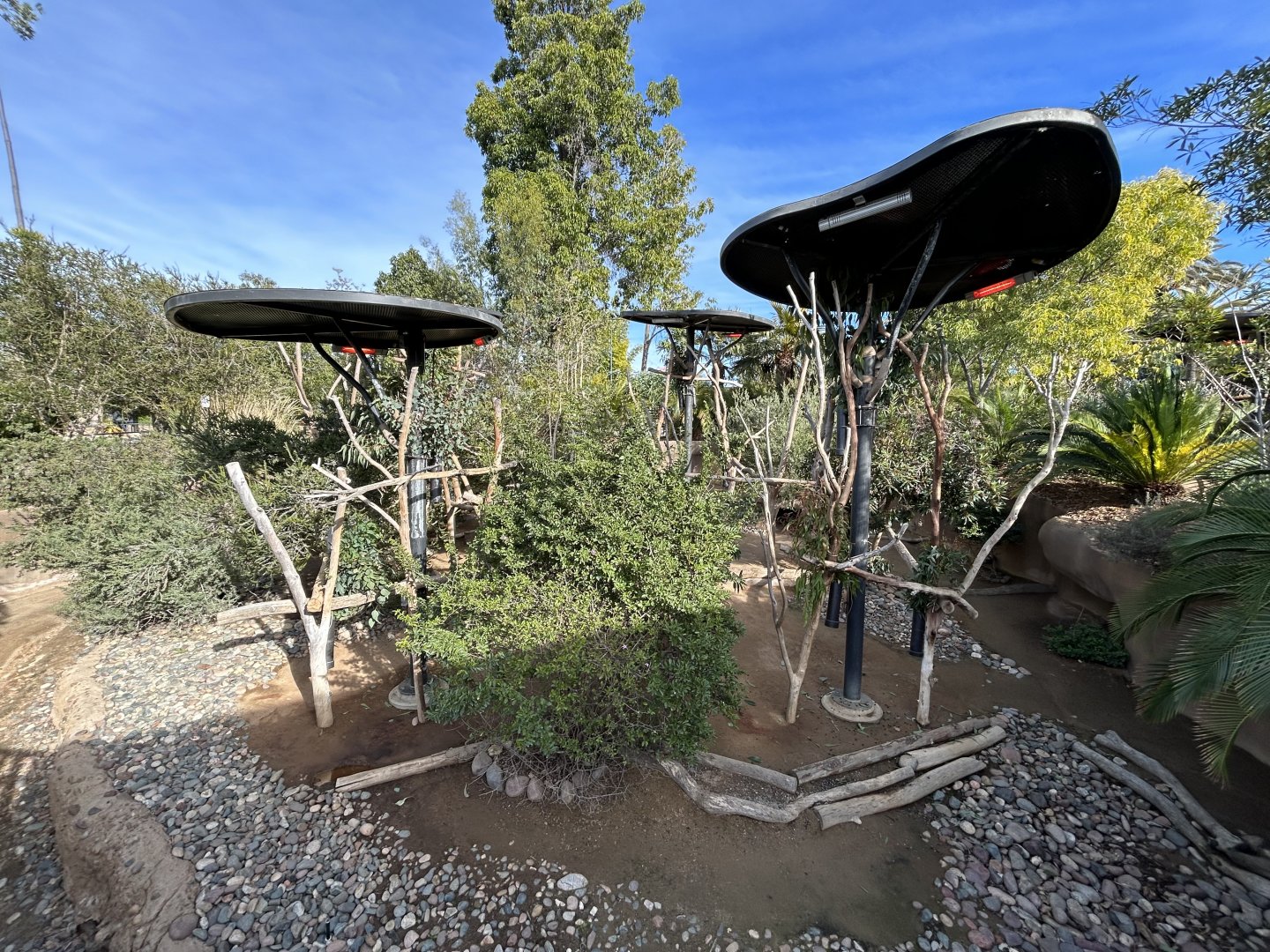 Koala & Parma Wallaby Exhibit - Australian Outback