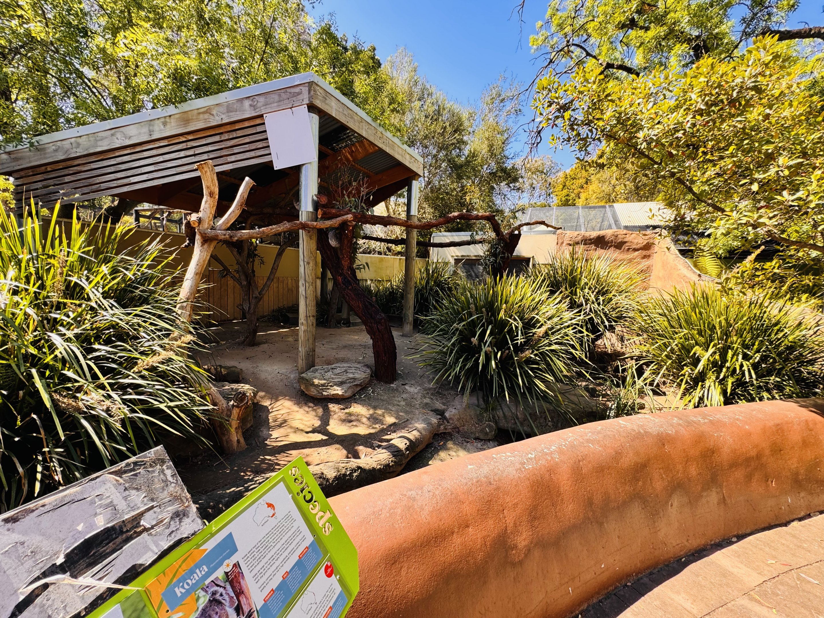 Koala/potoroo/echidna enclosure