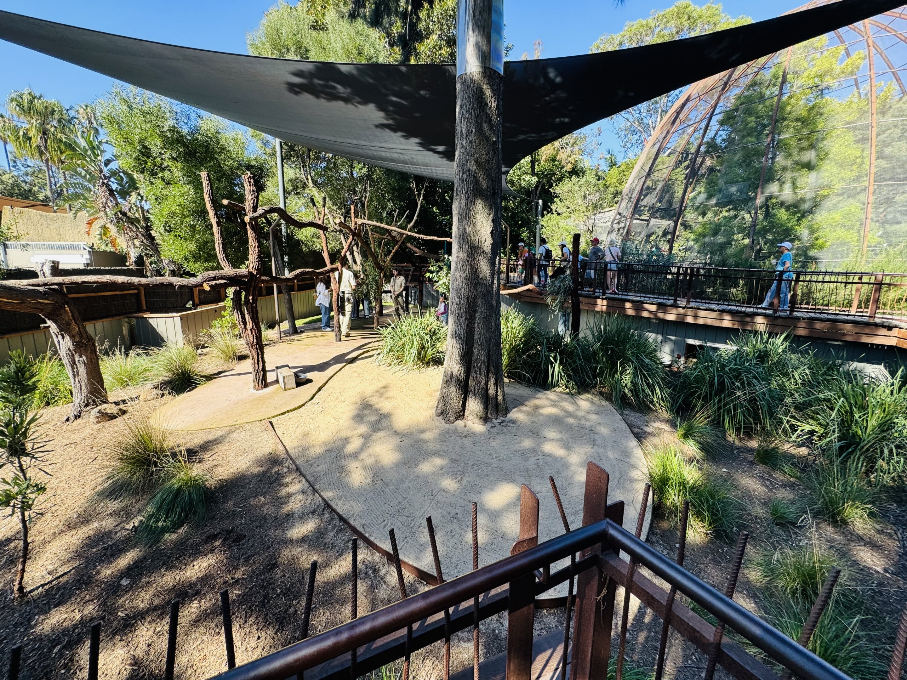 Koala/quokka enclosure