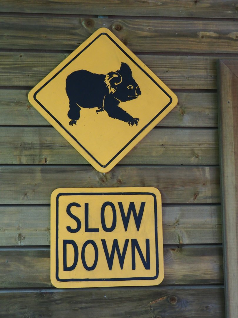 Koala road signs, 2019-10-04