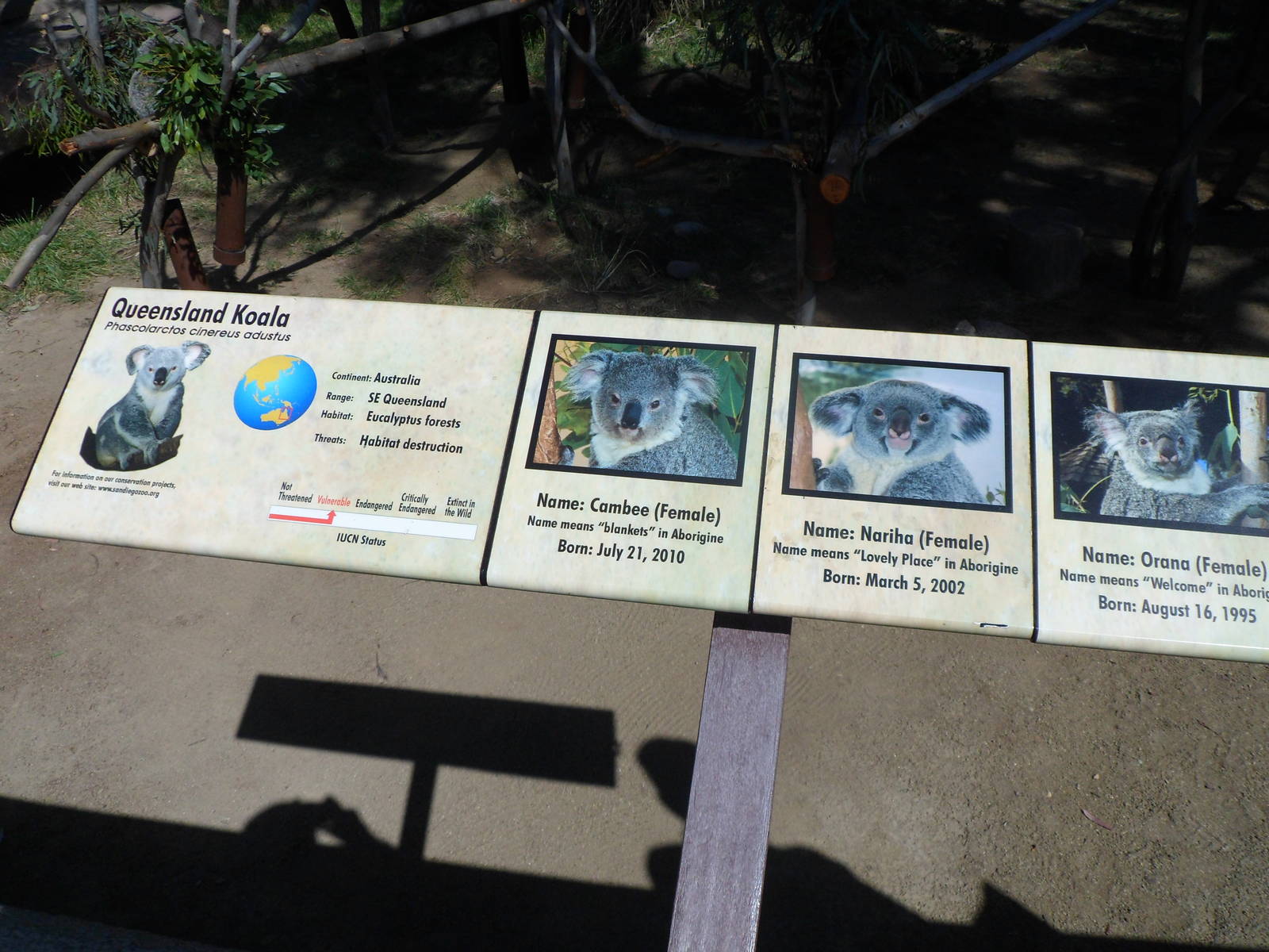 Koala Sign