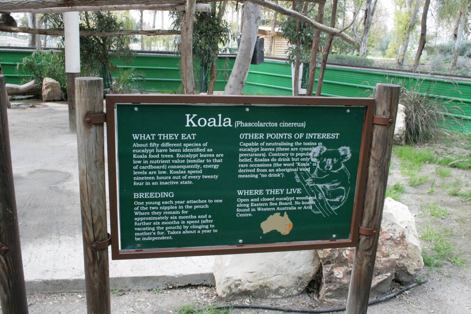 koala sign