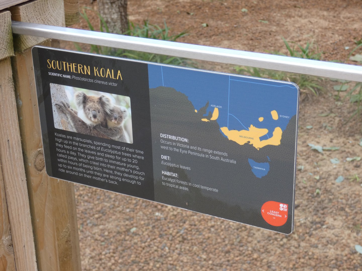 Koala signage