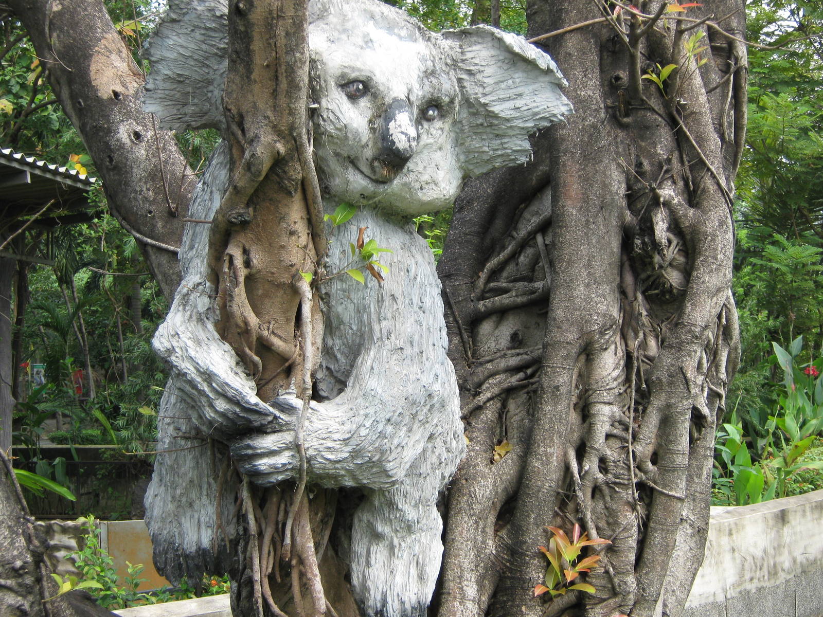 koala statue in the Australian area