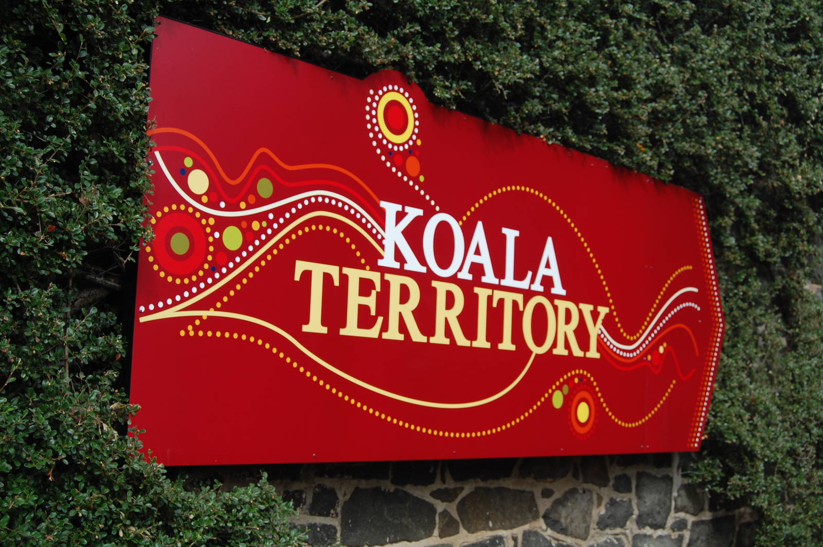 Koala Territory