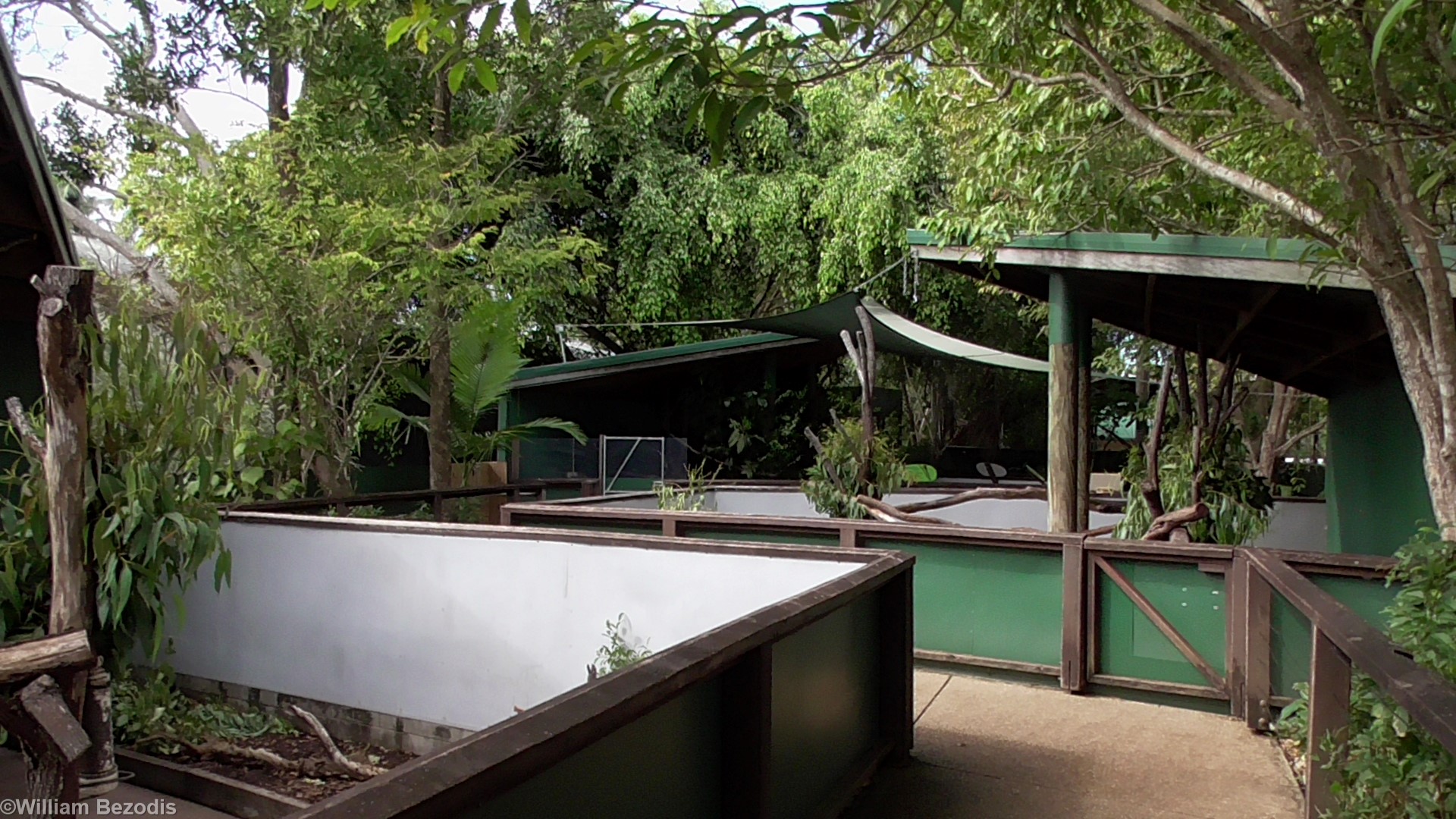 Koala, Tree Kangaroo, and Quoll Area