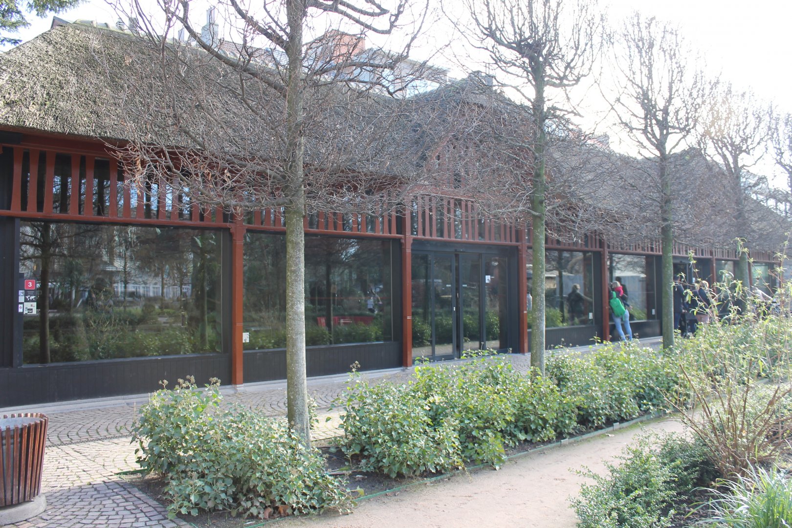 Koala - Tree kangaroo House