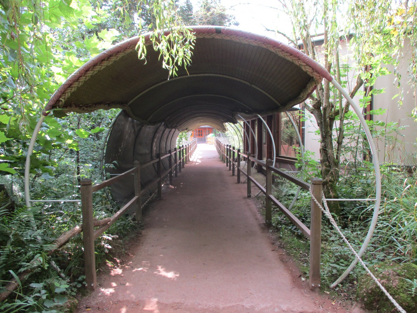 Koala tunnel