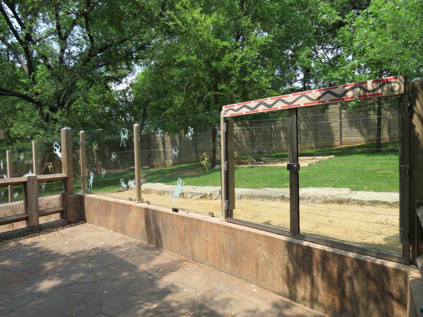 Koala Walkabout - Australian Walkabout Exhibit