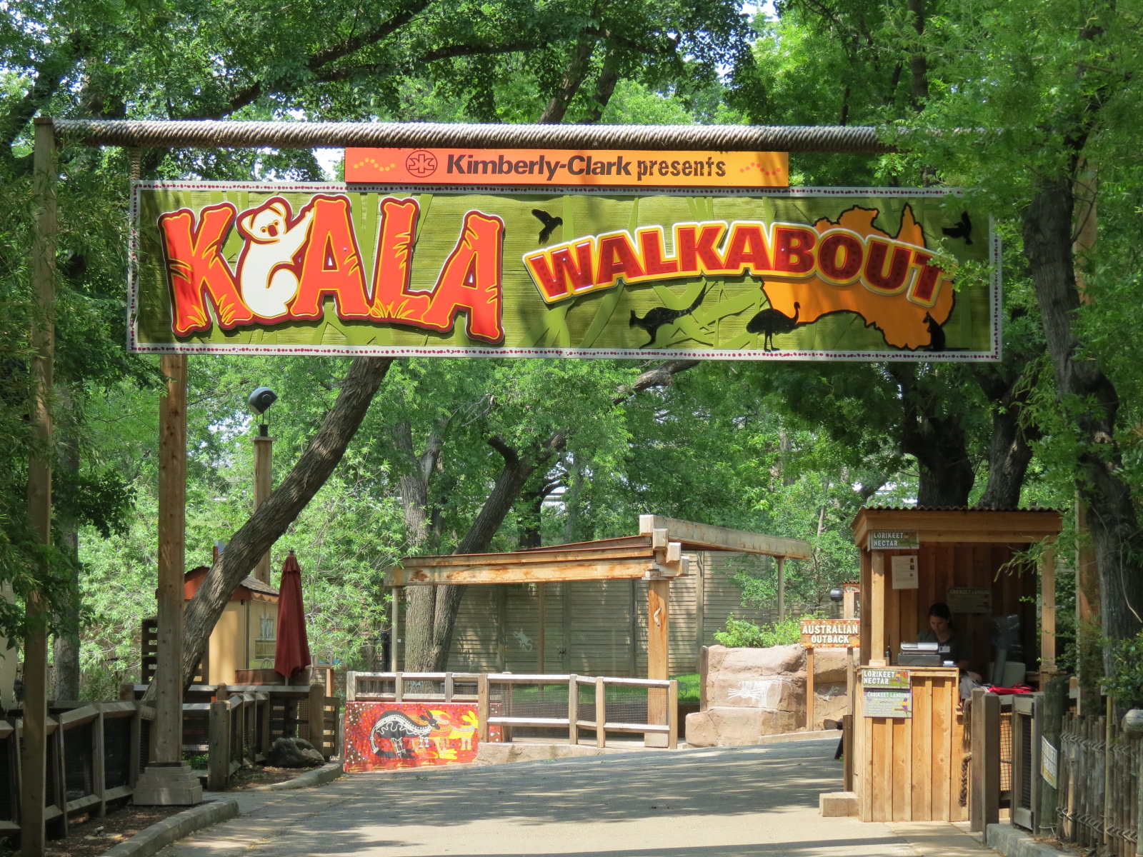 Koala Walkabout - Entry