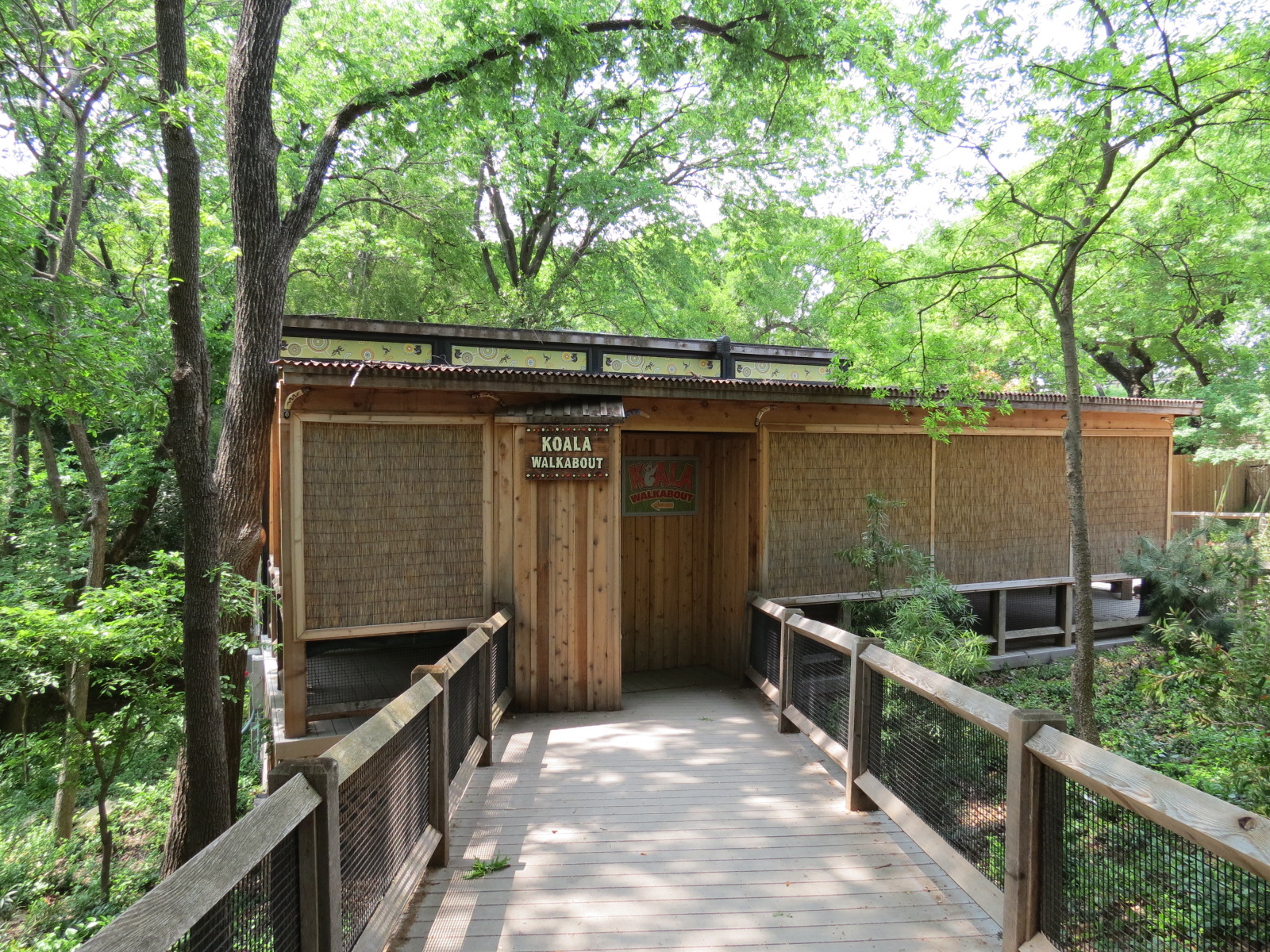 Koala Walkabout - Koala Exhibit Exterior