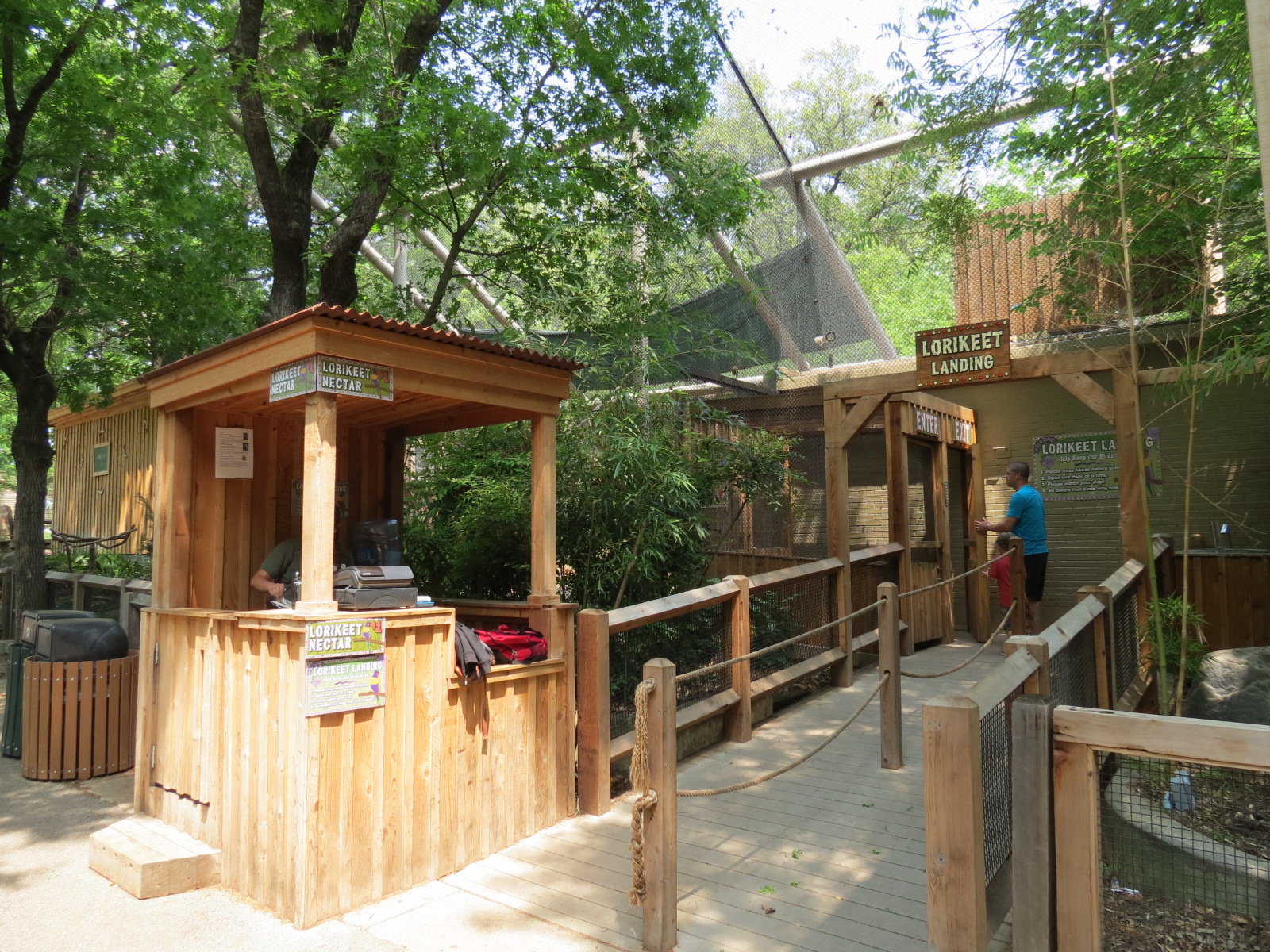Koala Walkabout - Lorikeet Landing