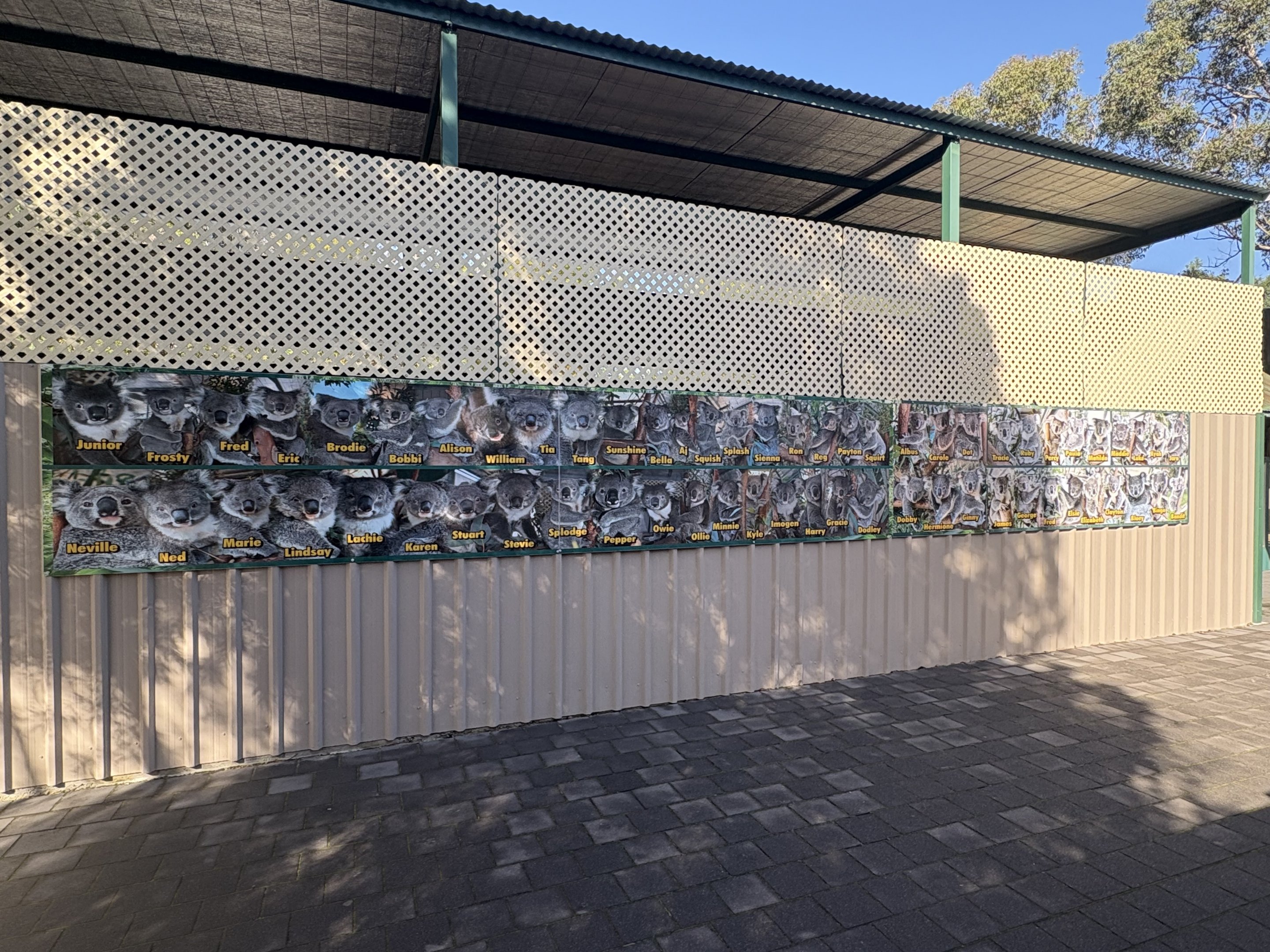 Koala Wall - July 2025