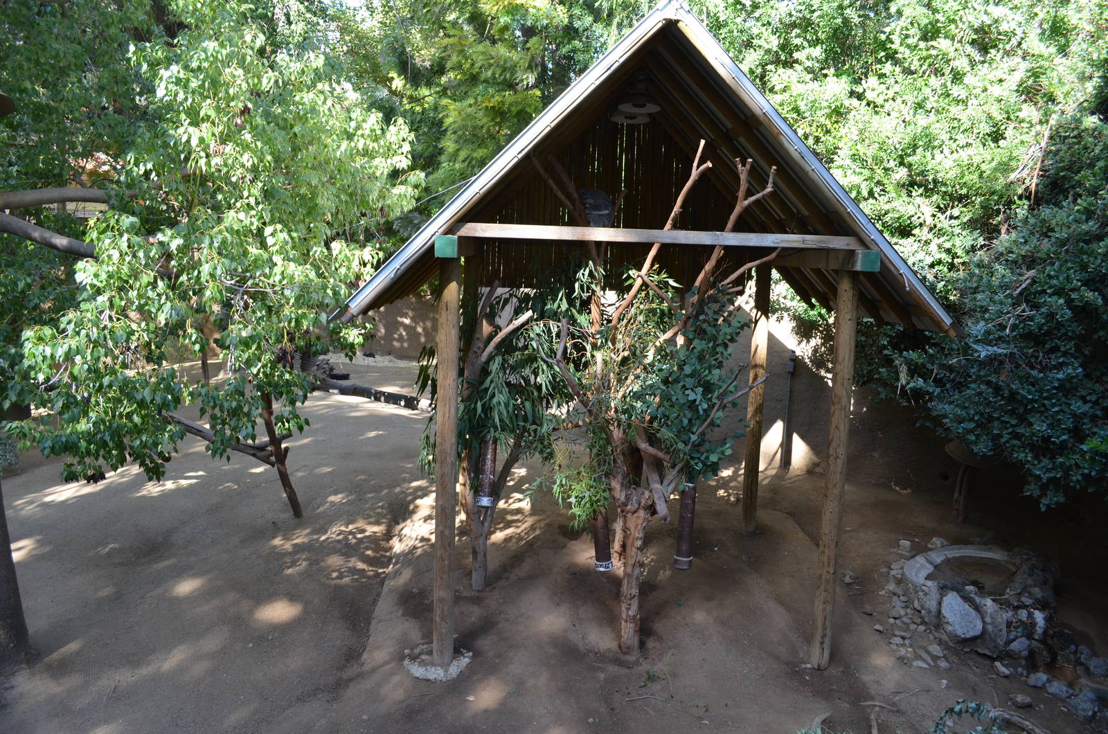 Koala/Western Gray Kangaroo/Tammar Wallaby Yard