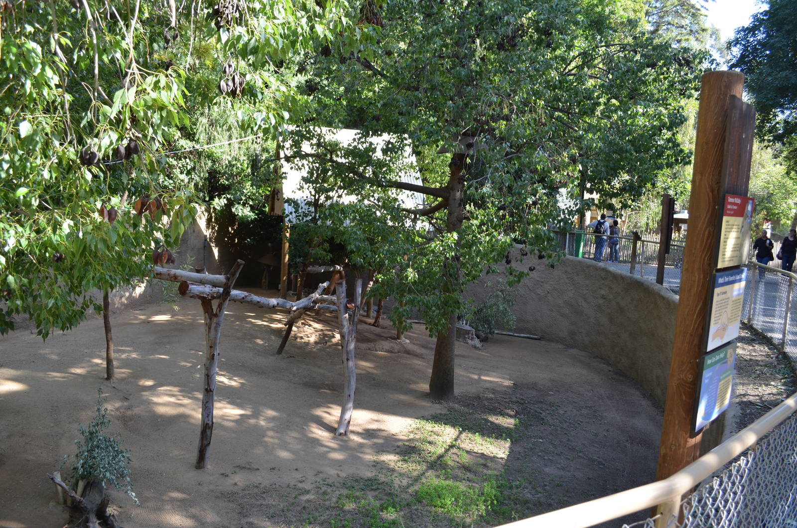 Koala/Western Gray Kangaroo/Tammar Wallaby Yard