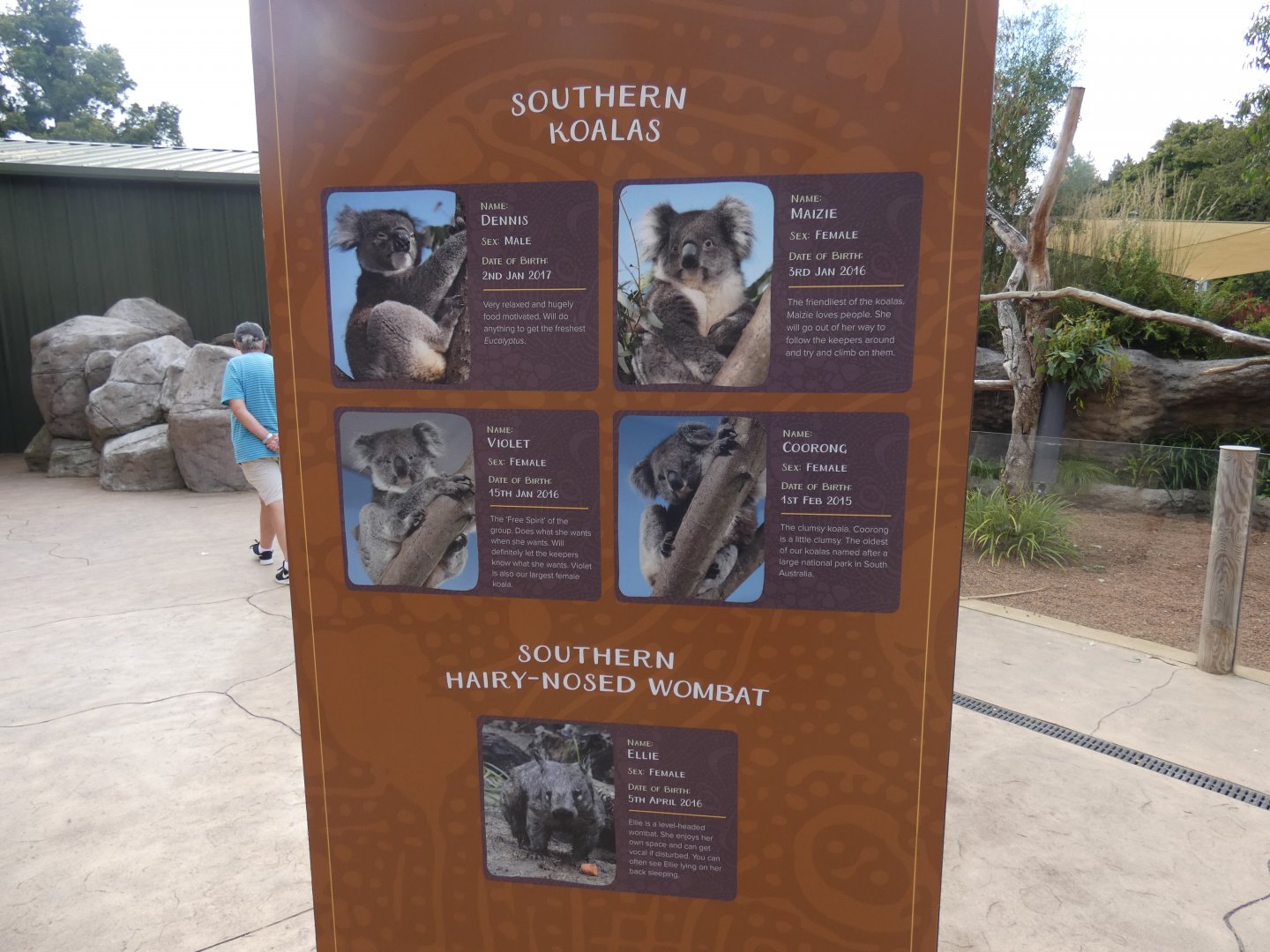 Koala & Wombat ID signage