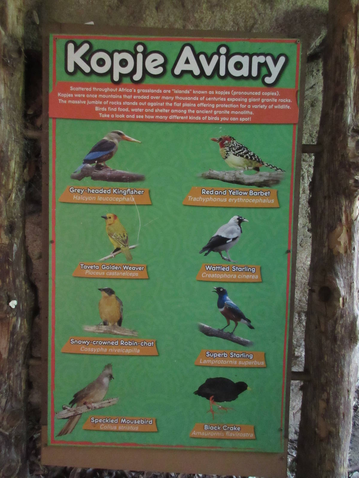 Kobje Aviary Sign (8 Species)