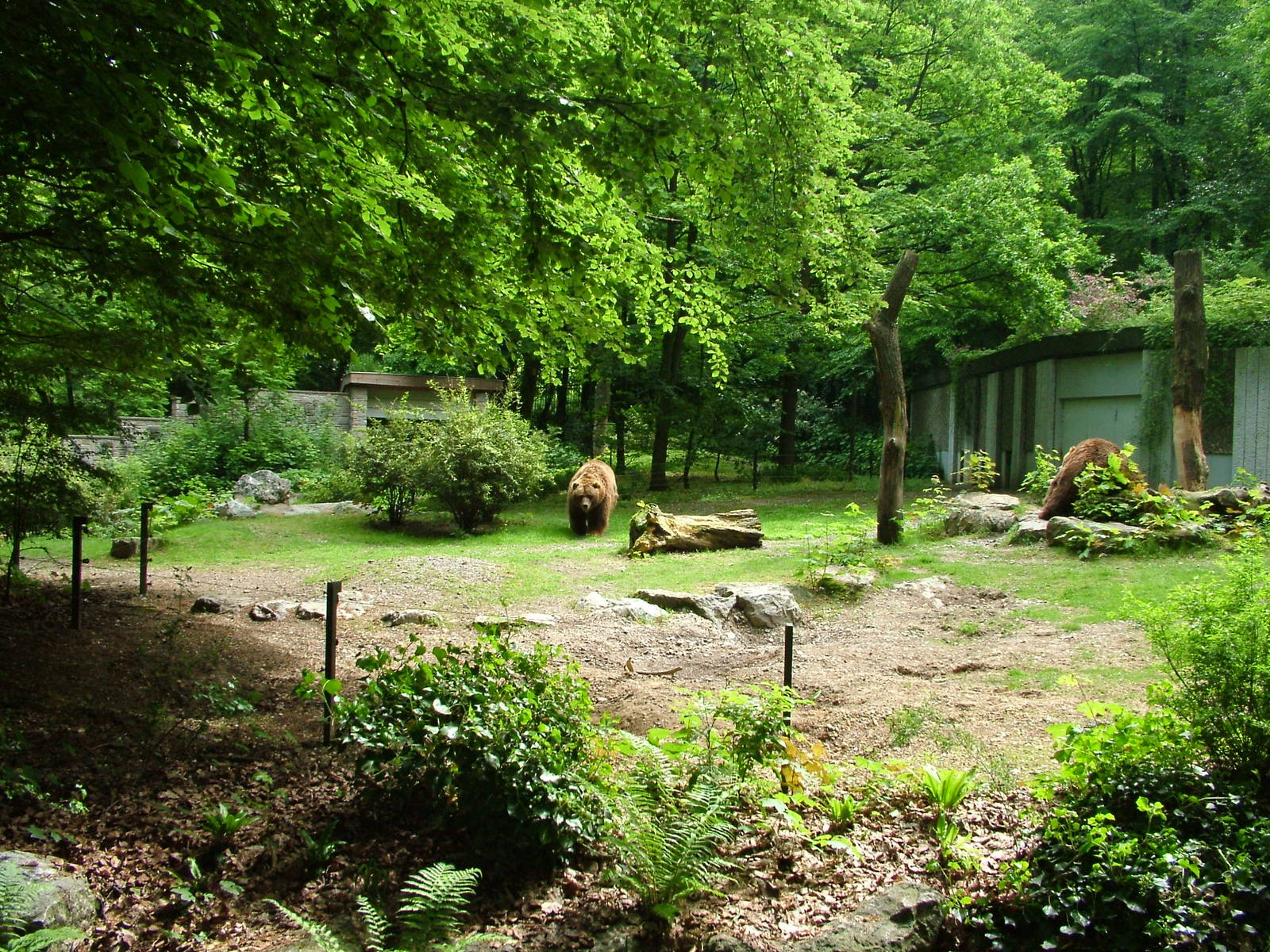 Kodiak Bear enclosure at Wuppertal 13/05/09