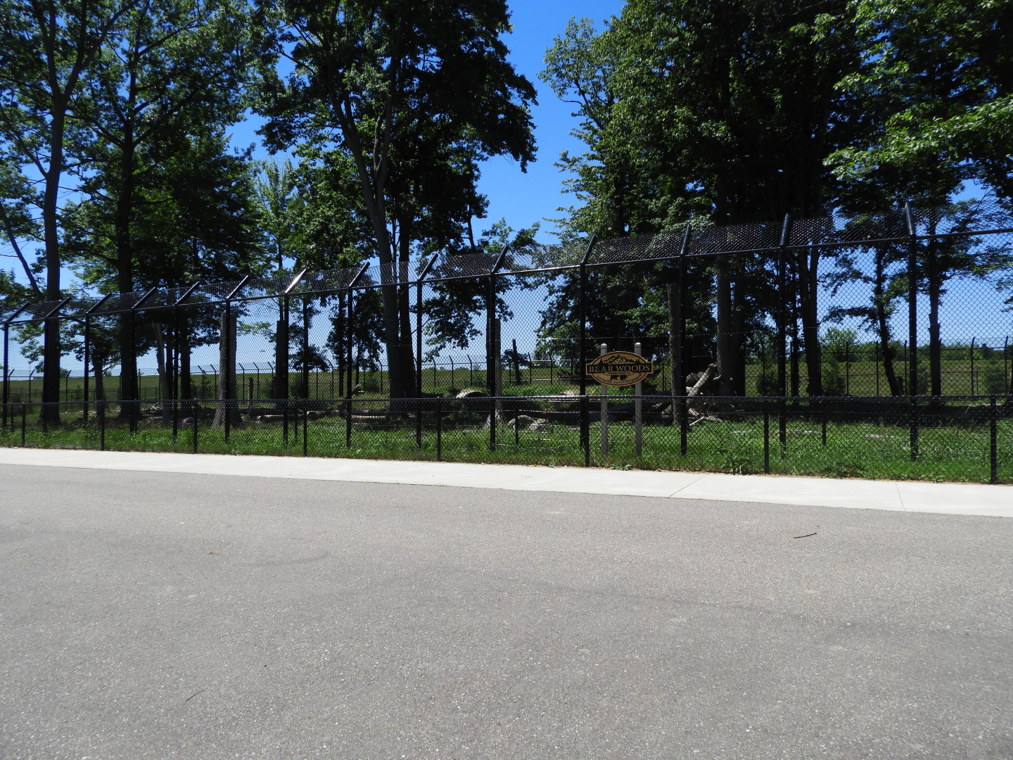Kodiak Bear exhibit #1 - JP Adler Kodiak Bear Exhibit (New in 2015) - Wildwood Zoo