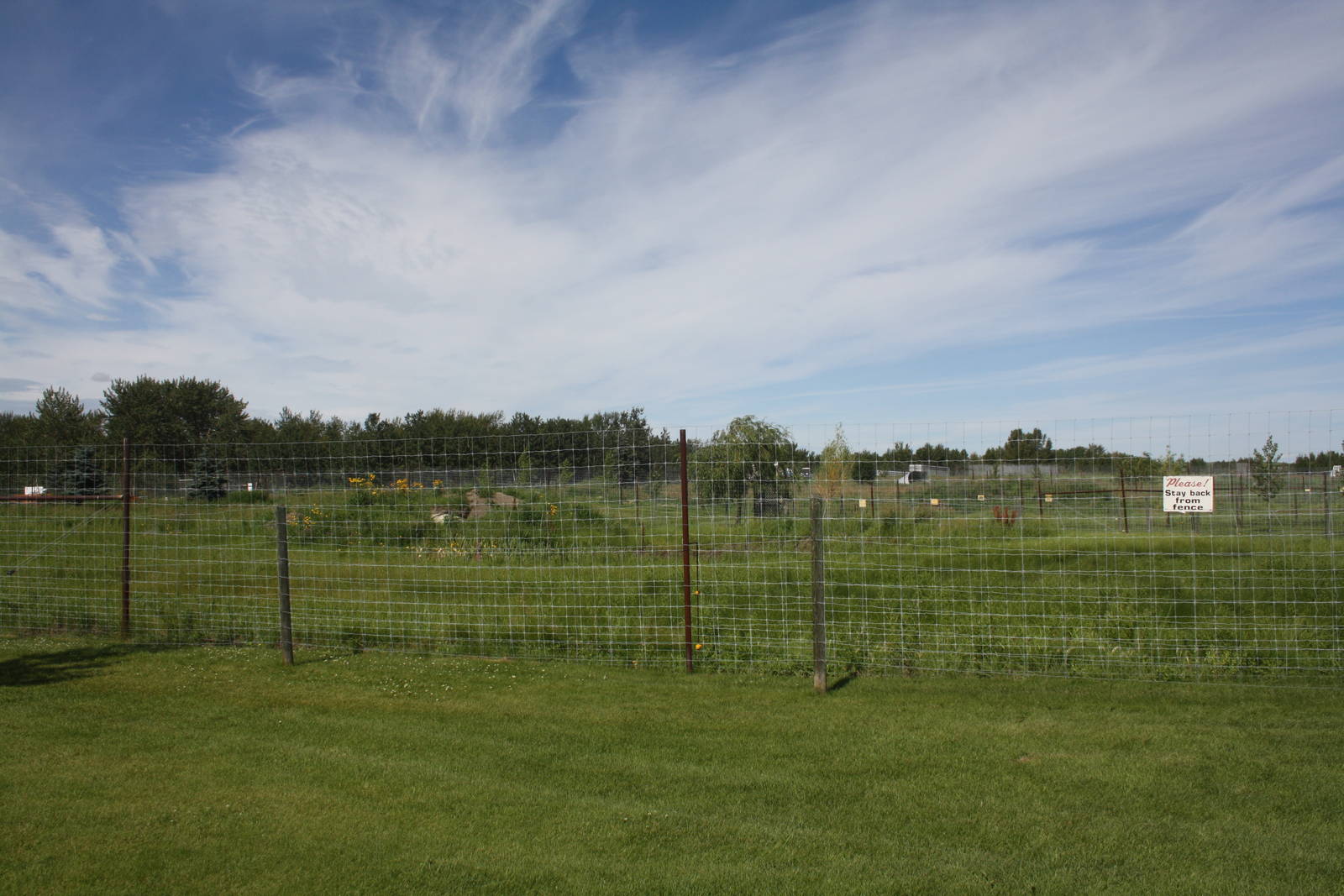 Kodiak Bear Exhibit #1